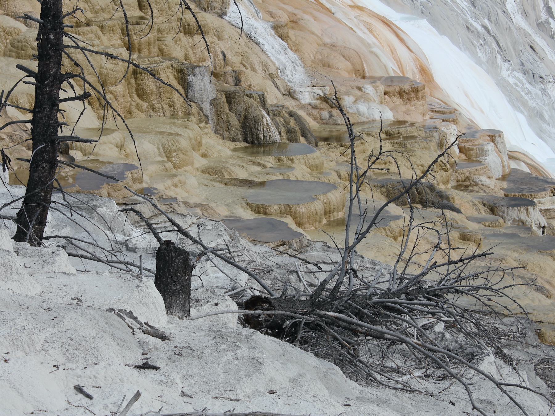 Yellowstone: A Fiery Nature