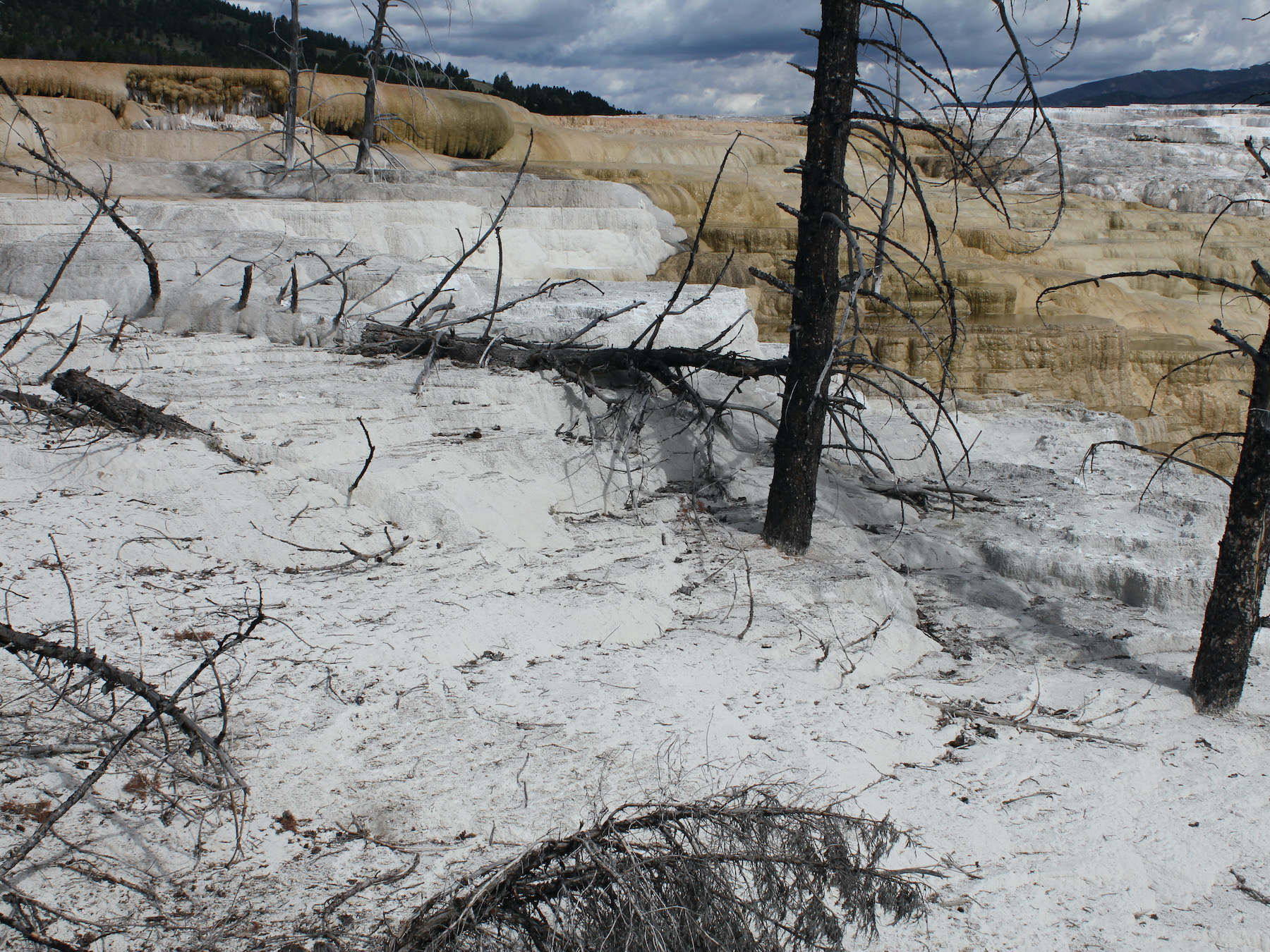 Yellowstone: A Fiery Nature