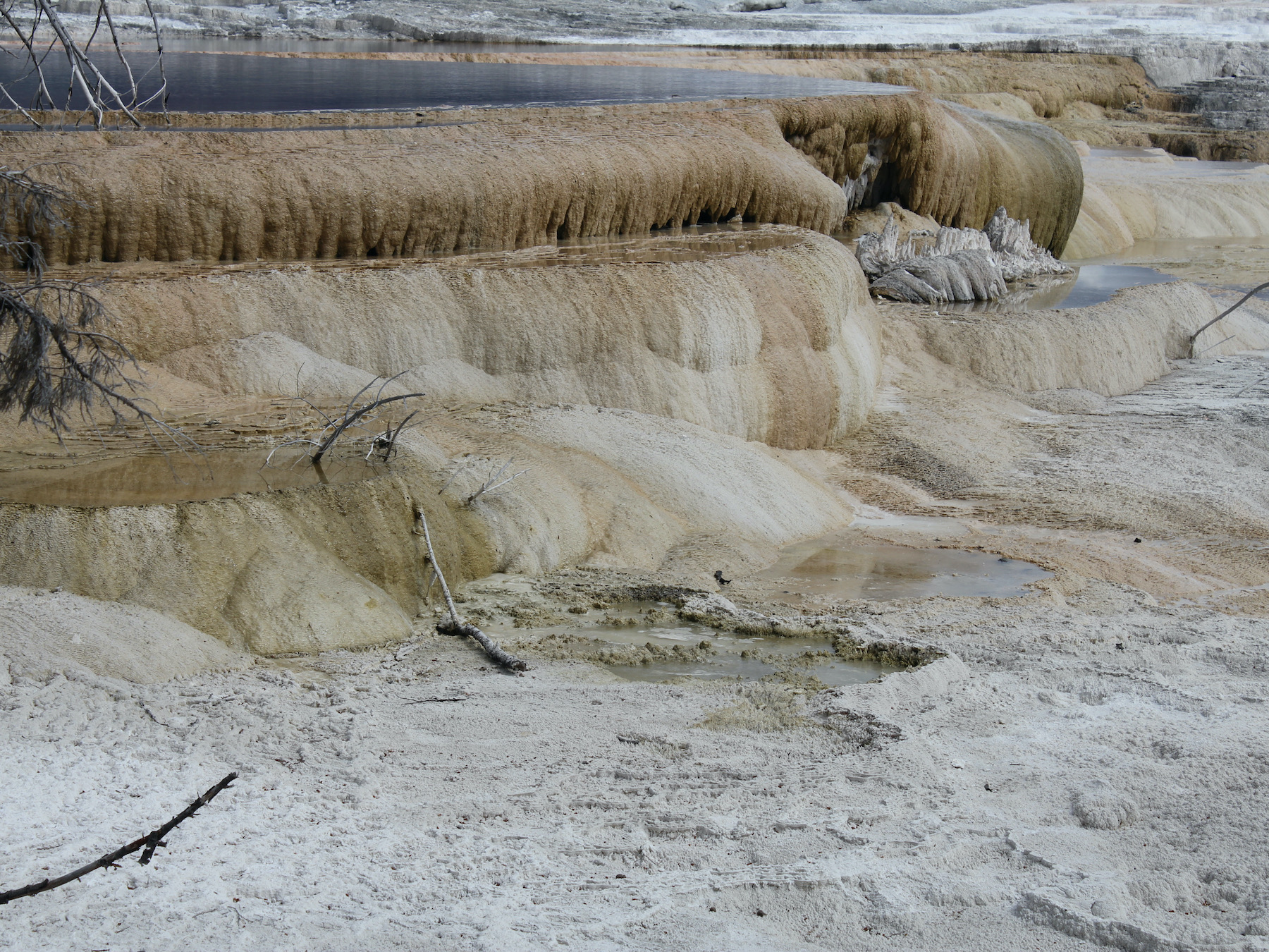 Yellowstone: A Fiery Nature
