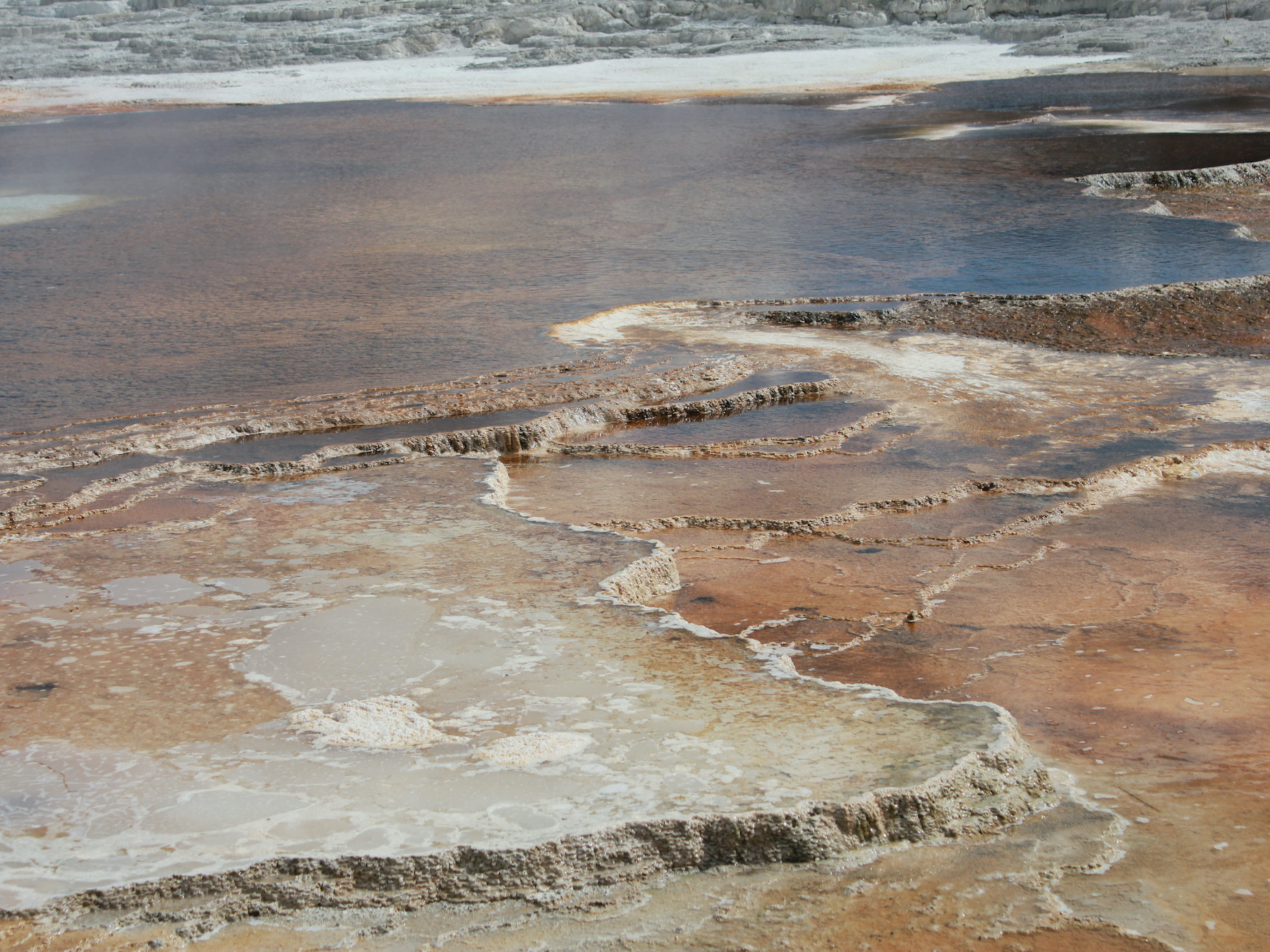 Yellowstone: A Fiery Nature