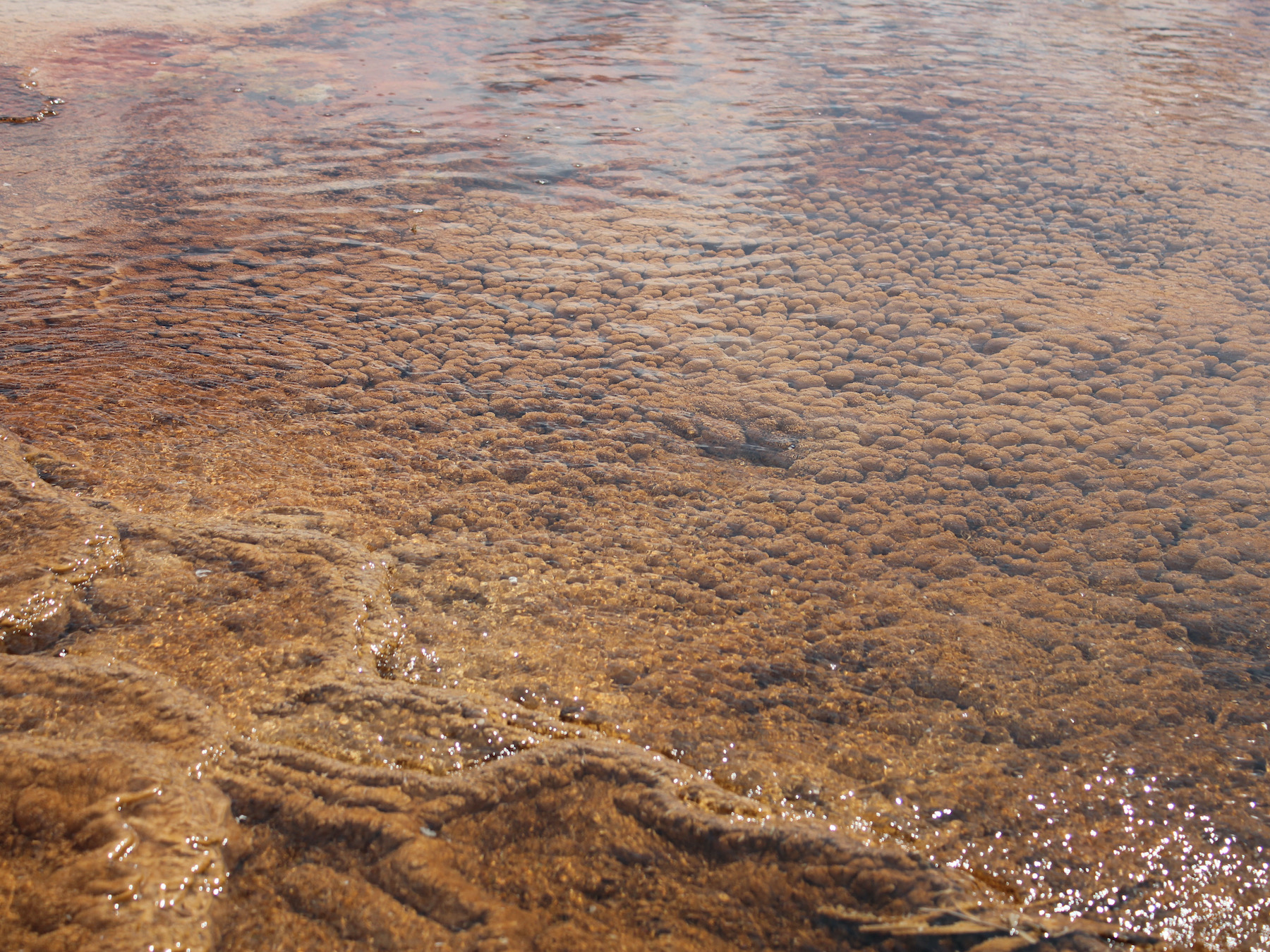Yellowstone: A Fiery Nature