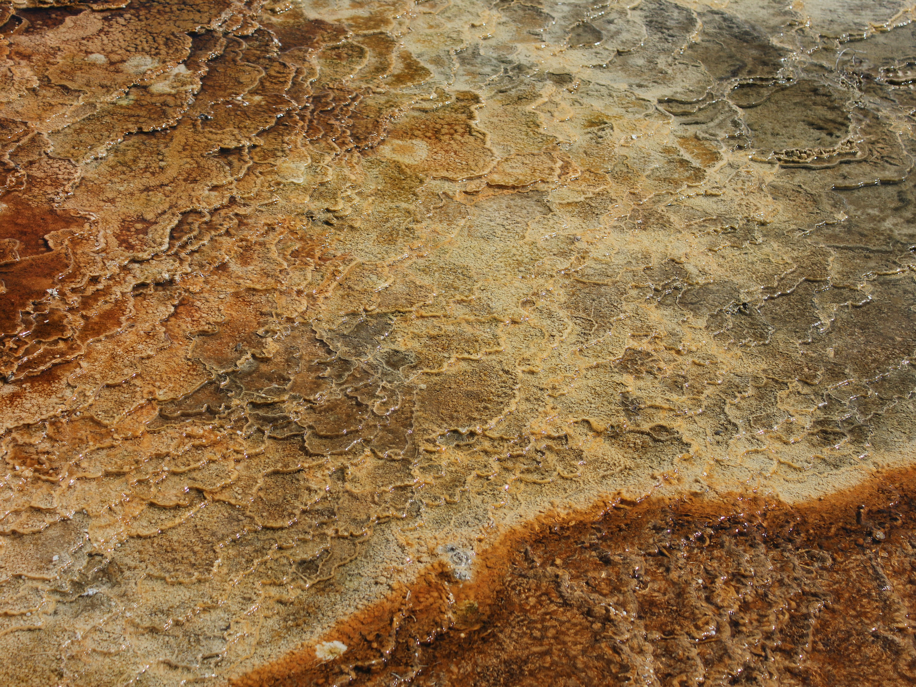 Yellowstone: A Fiery Nature