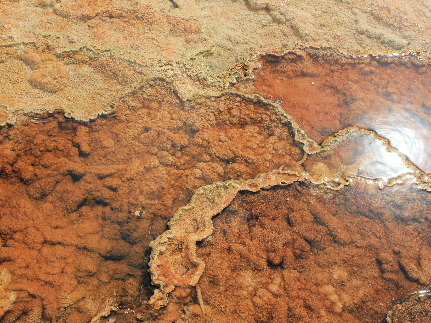 Yellowstone: A Fiery Nature