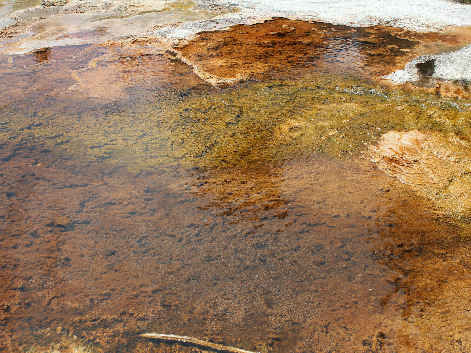 Yellowstone: A Fiery Nature