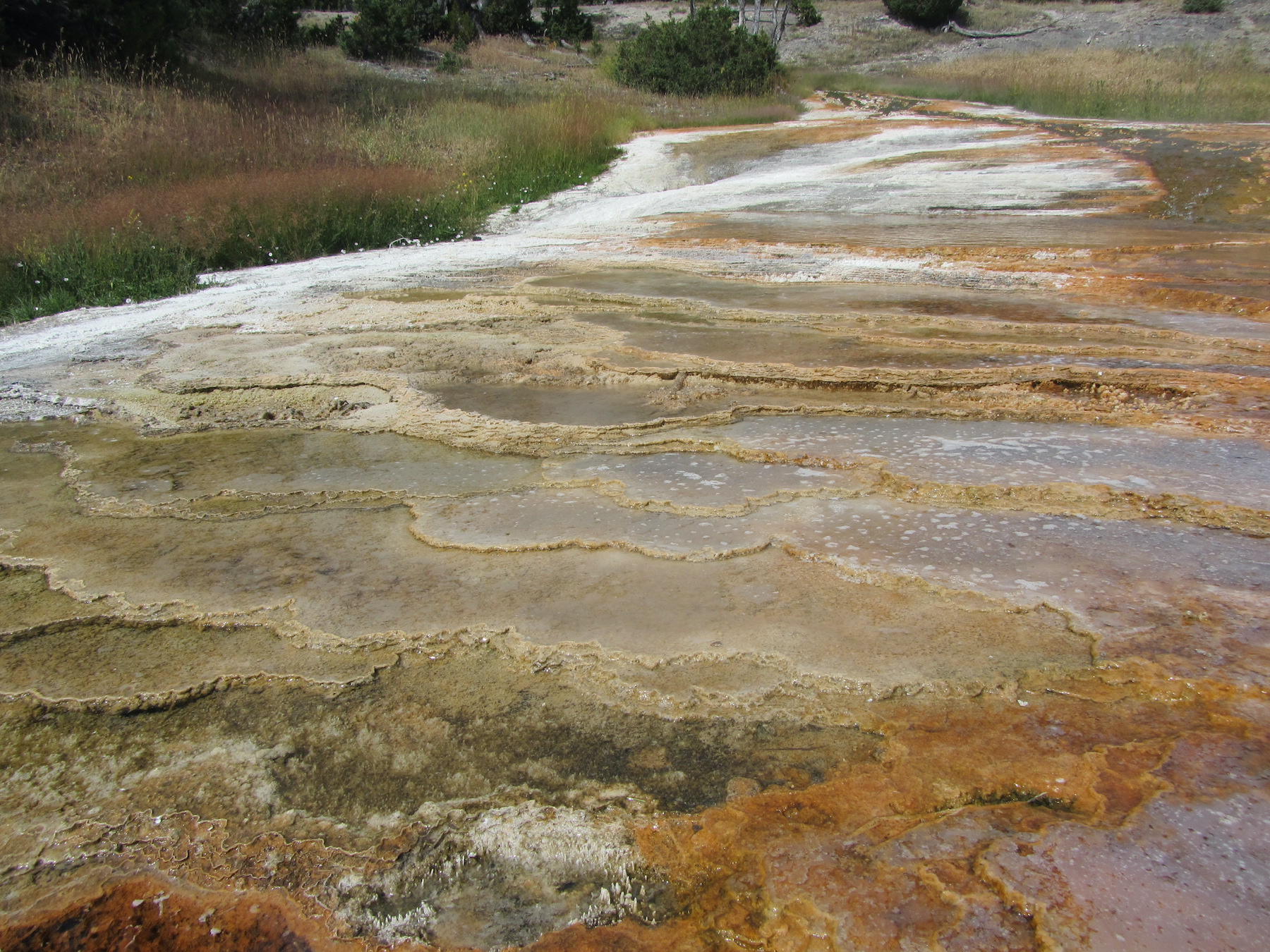 Yellowstone: A Fiery Nature