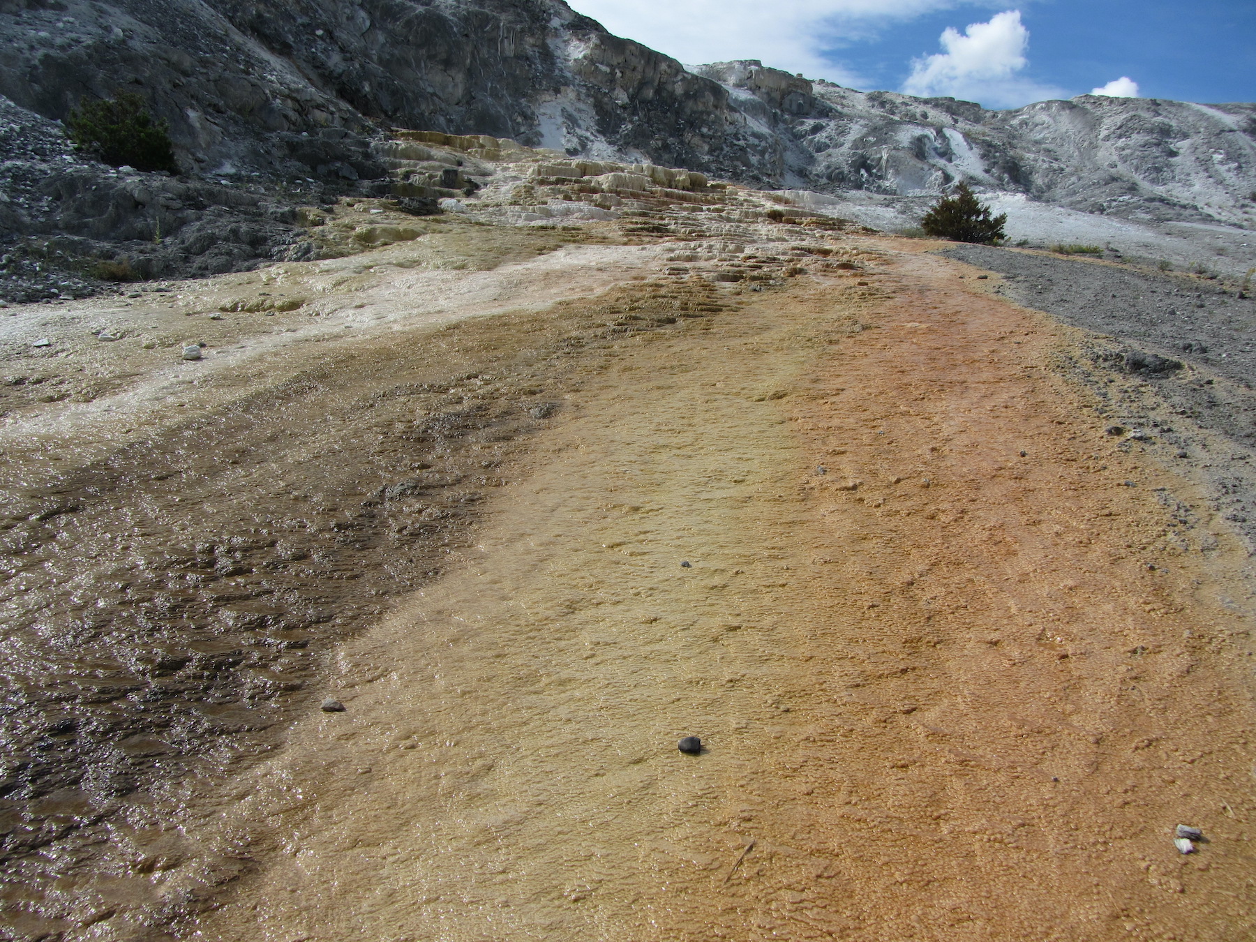 Yellowstone: A Fiery Nature