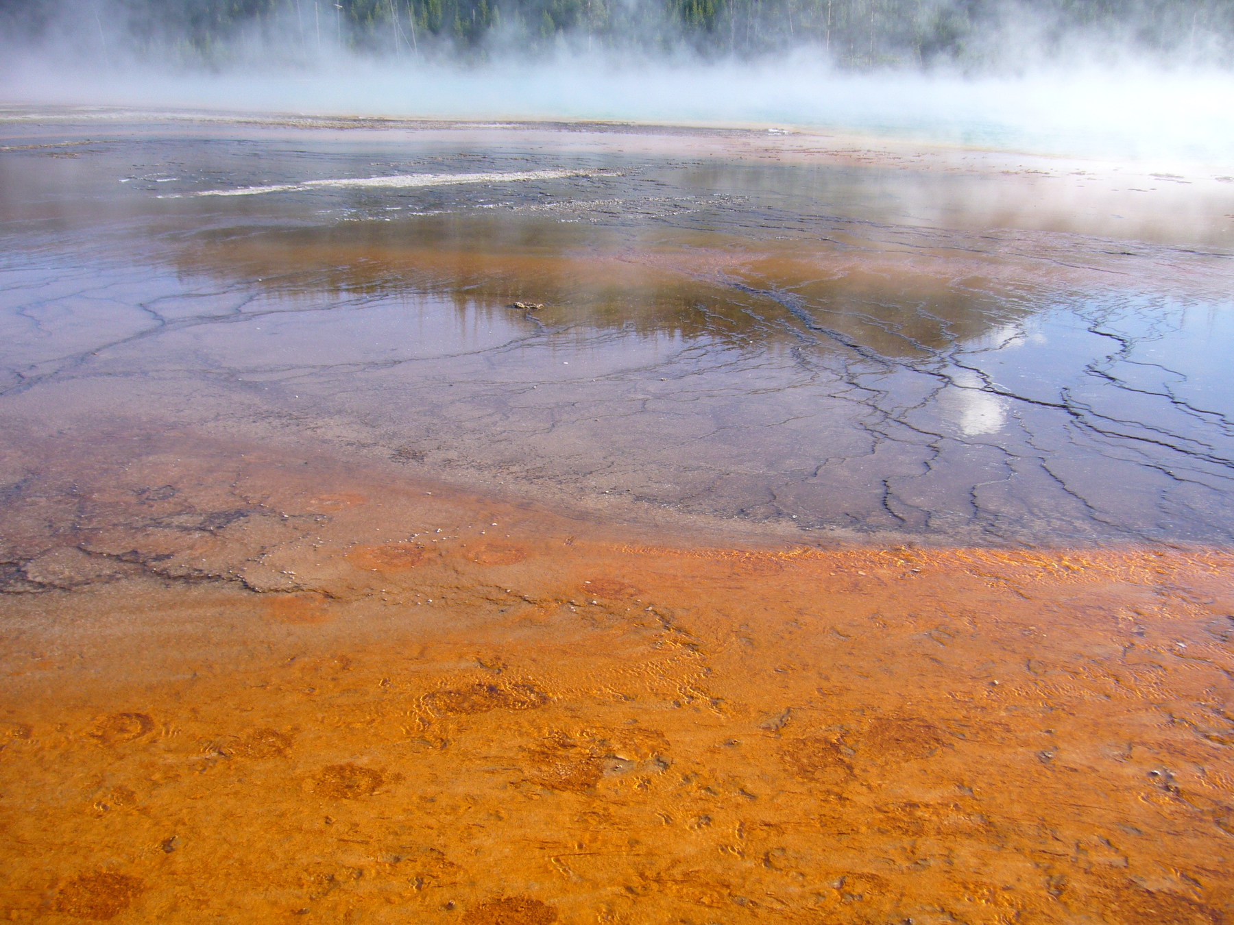 Yellowstone: A Fiery Nature