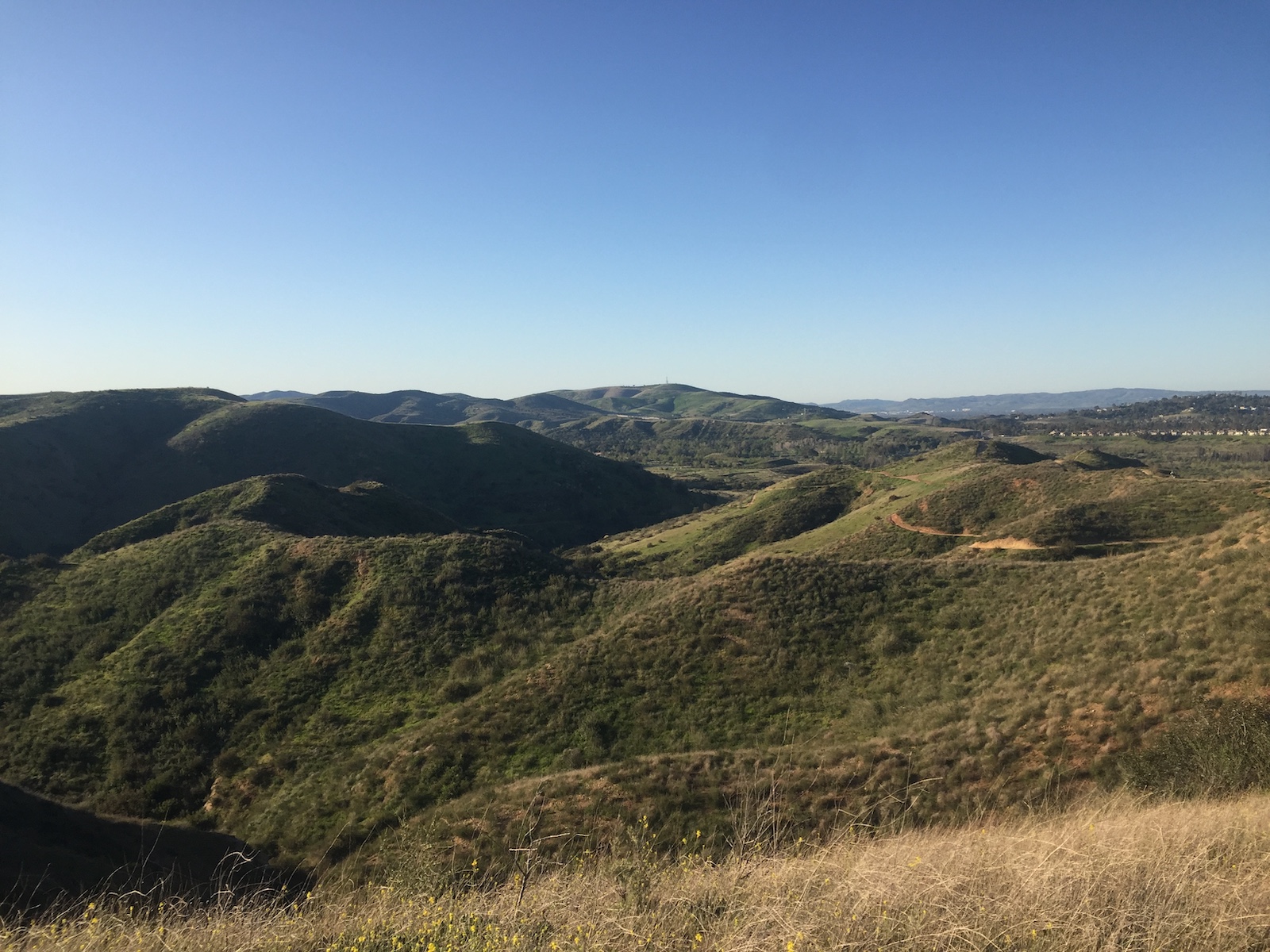 Santiago Mountains: An Oasis Close to Home