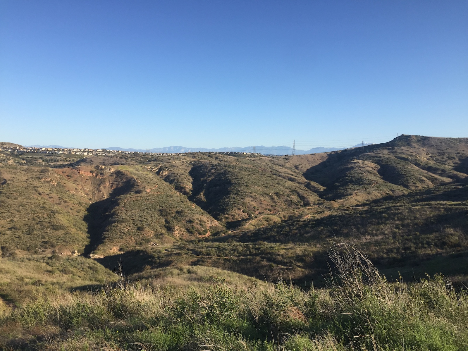 Santiago Mountains: An Oasis Close to Home