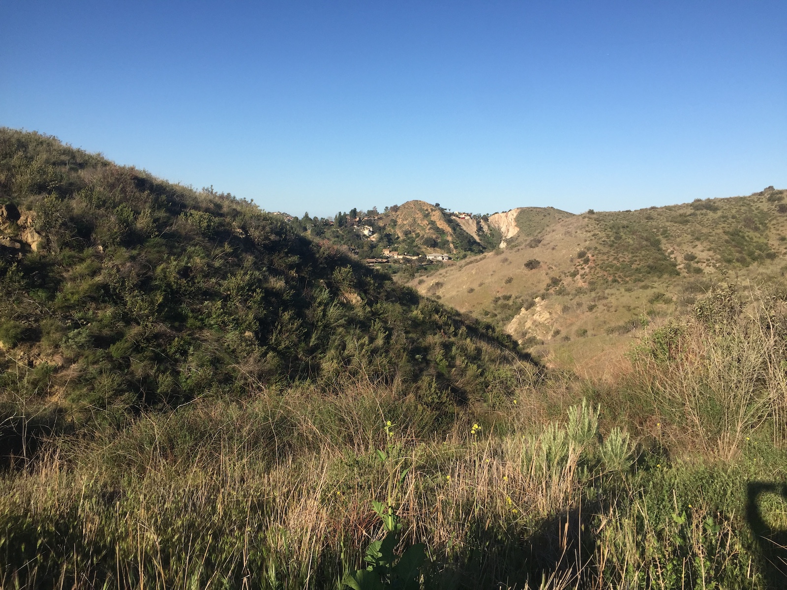 Santiago Mountains: An Oasis Close to Home