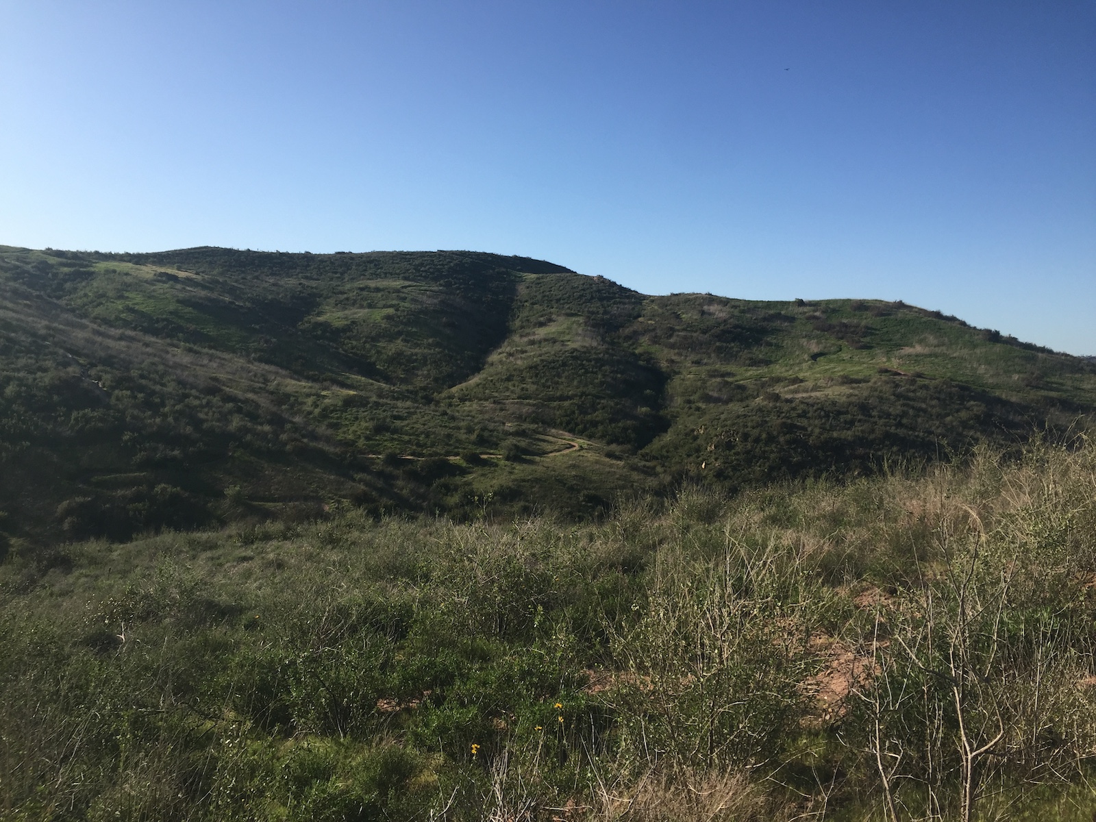 Santiago Mountains: An Oasis Close to Home