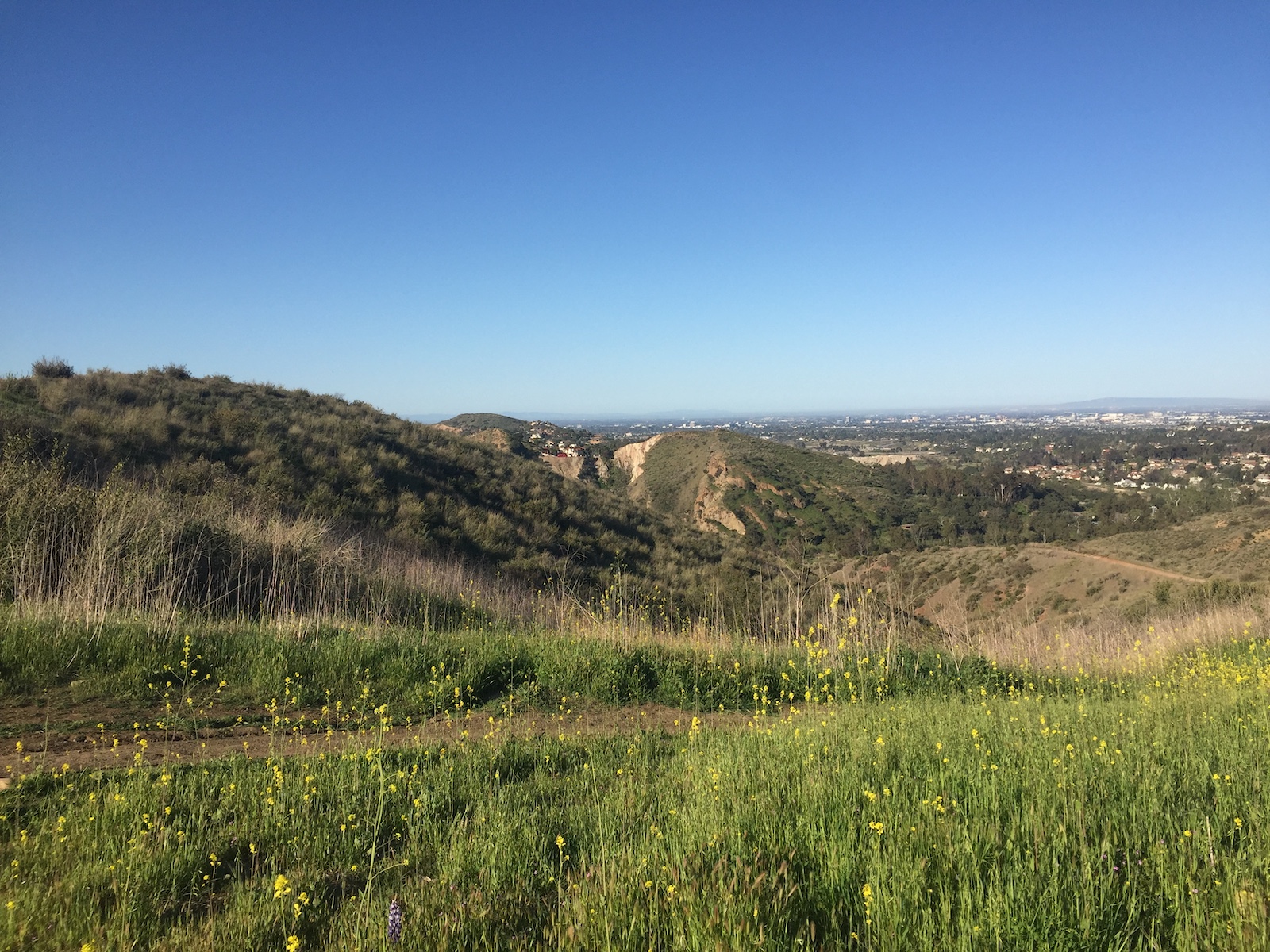 Santiago Mountains: An Oasis Close to Home