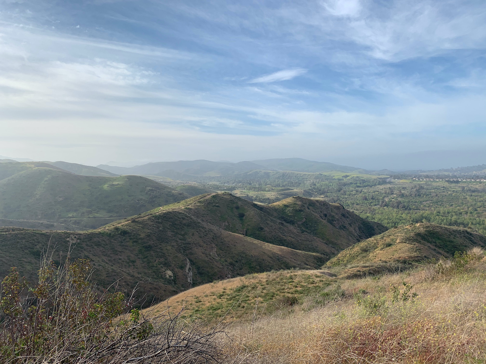 Santiago Mountains: An Oasis Close to Home