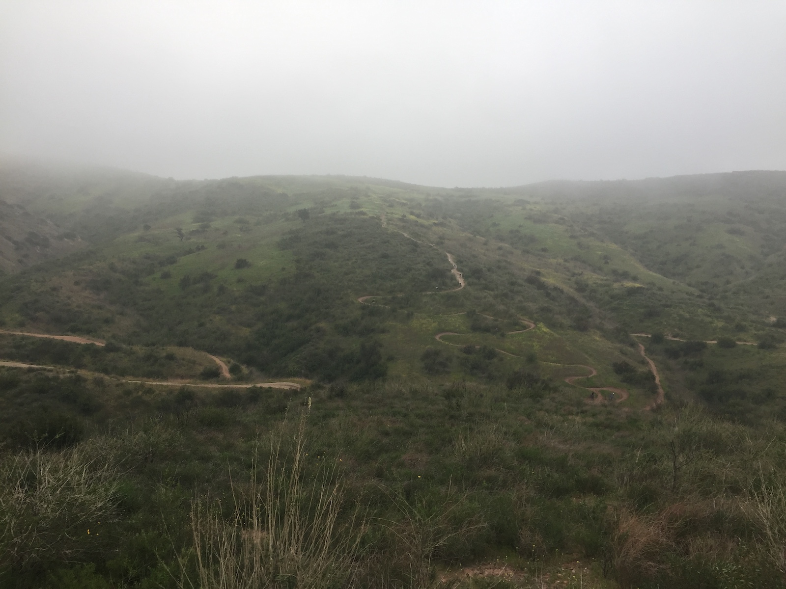 Santiago Mountains: An Oasis Close to Home