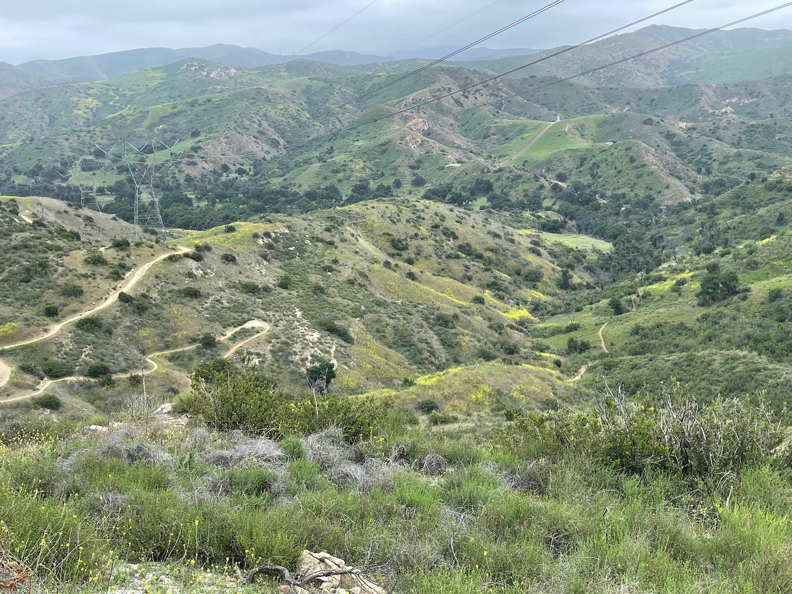 Santiago Mountains: An Oasis Close to Home