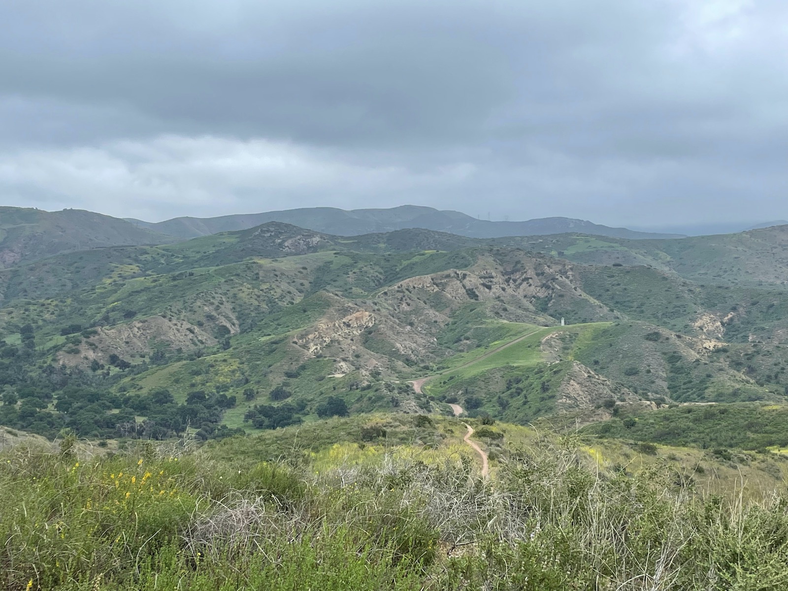 Santiago Mountains: An Oasis Close to Home