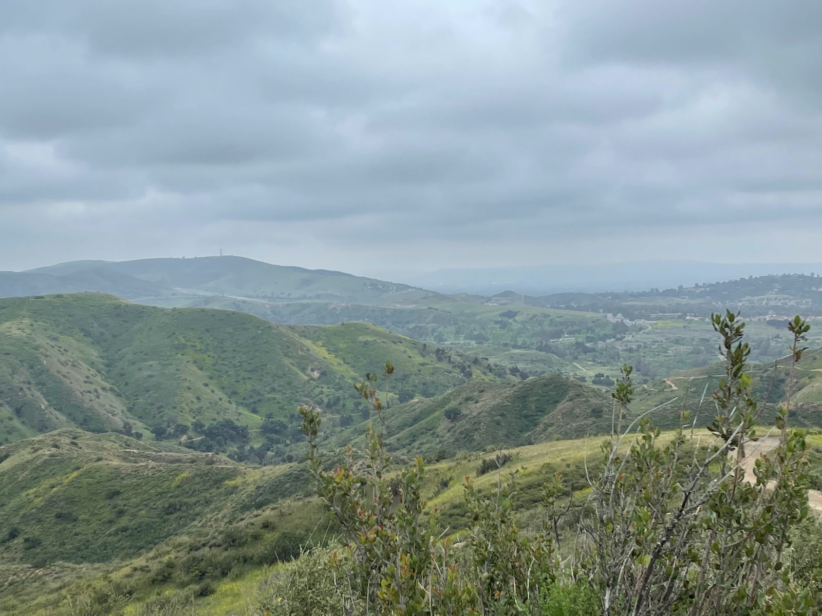 Santiago Mountains: An Oasis Close to Home