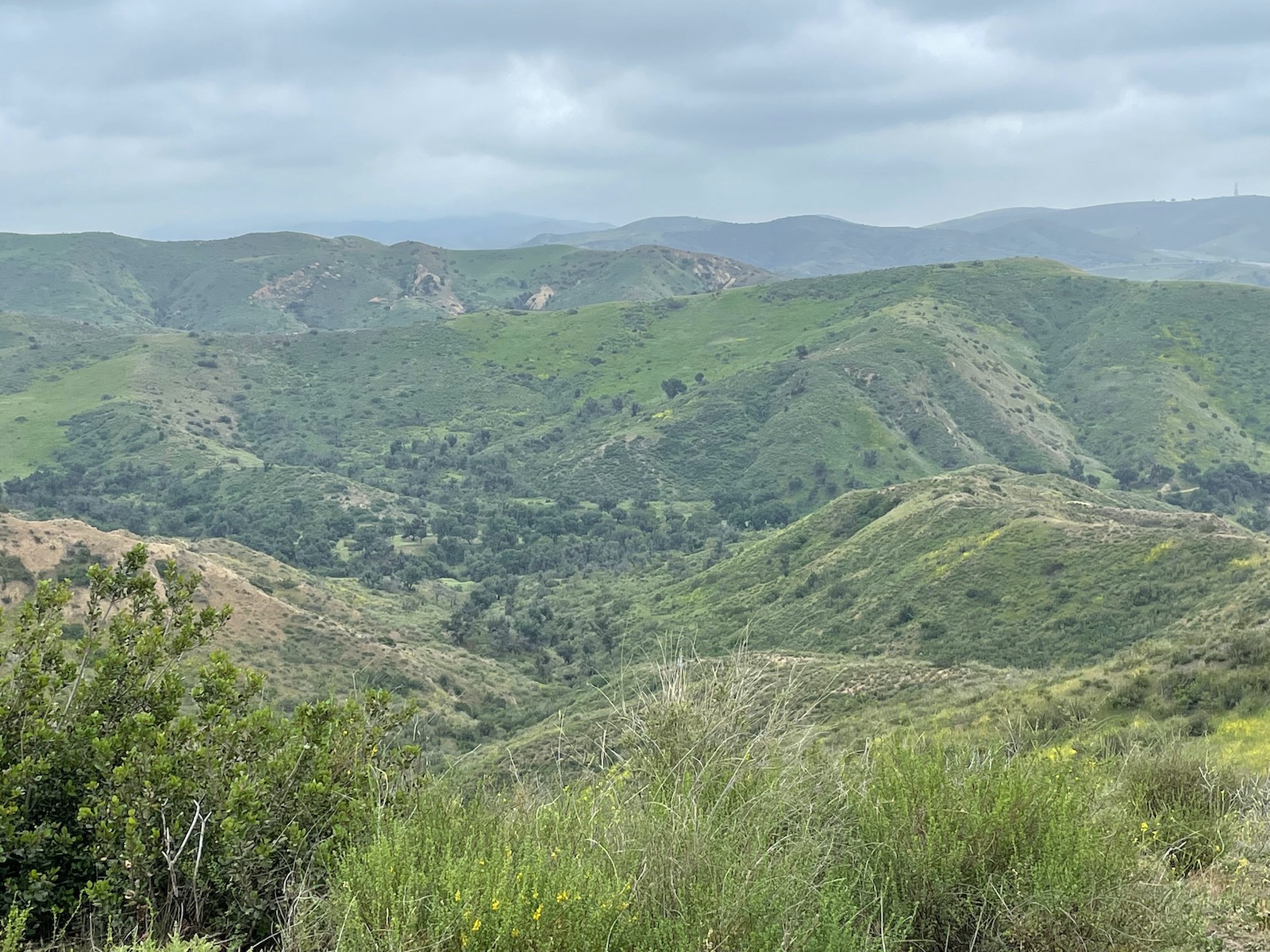 Santiago Mountains: An Oasis Close to Home