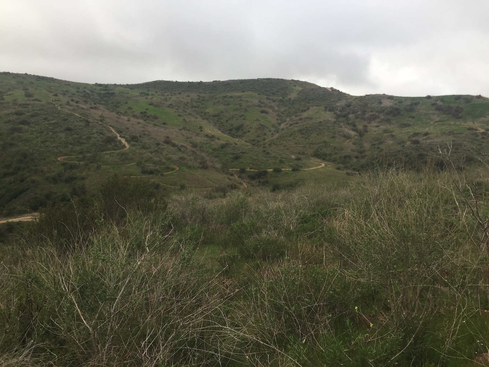 Santiago Mountains: An Oasis Close to Home