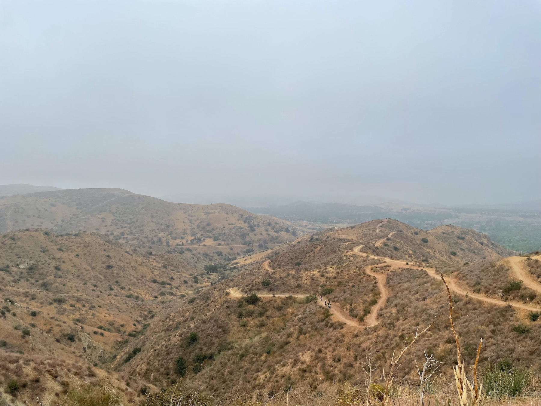 Santiago Mountains: An Oasis Close to Home