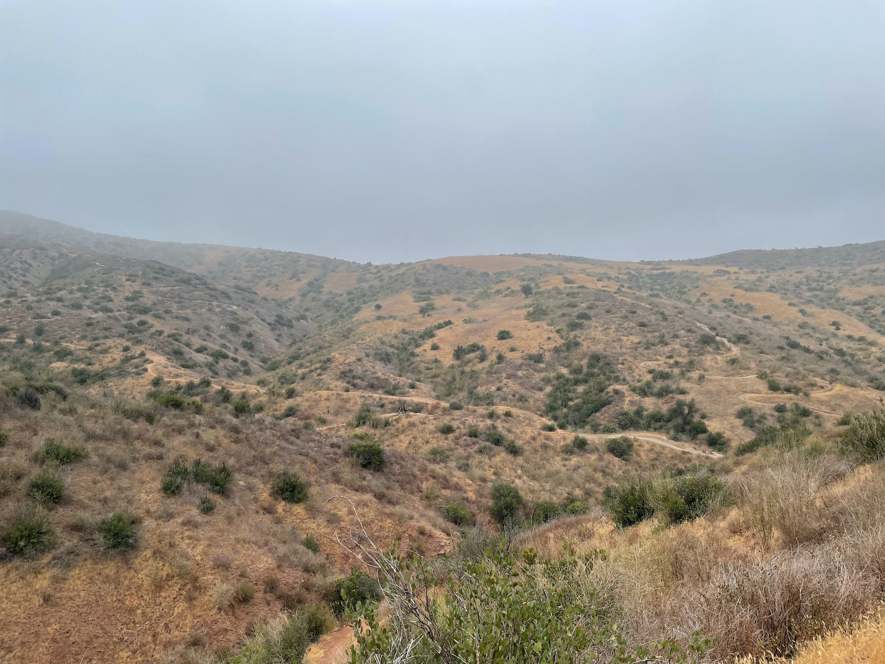Santiago Mountains: An Oasis Close to Home