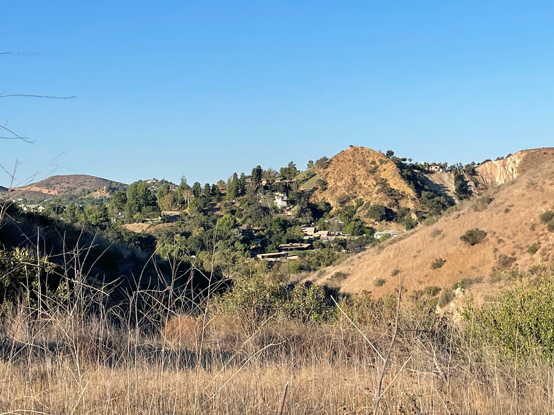 Santiago Mountains: An Oasis Close to Home