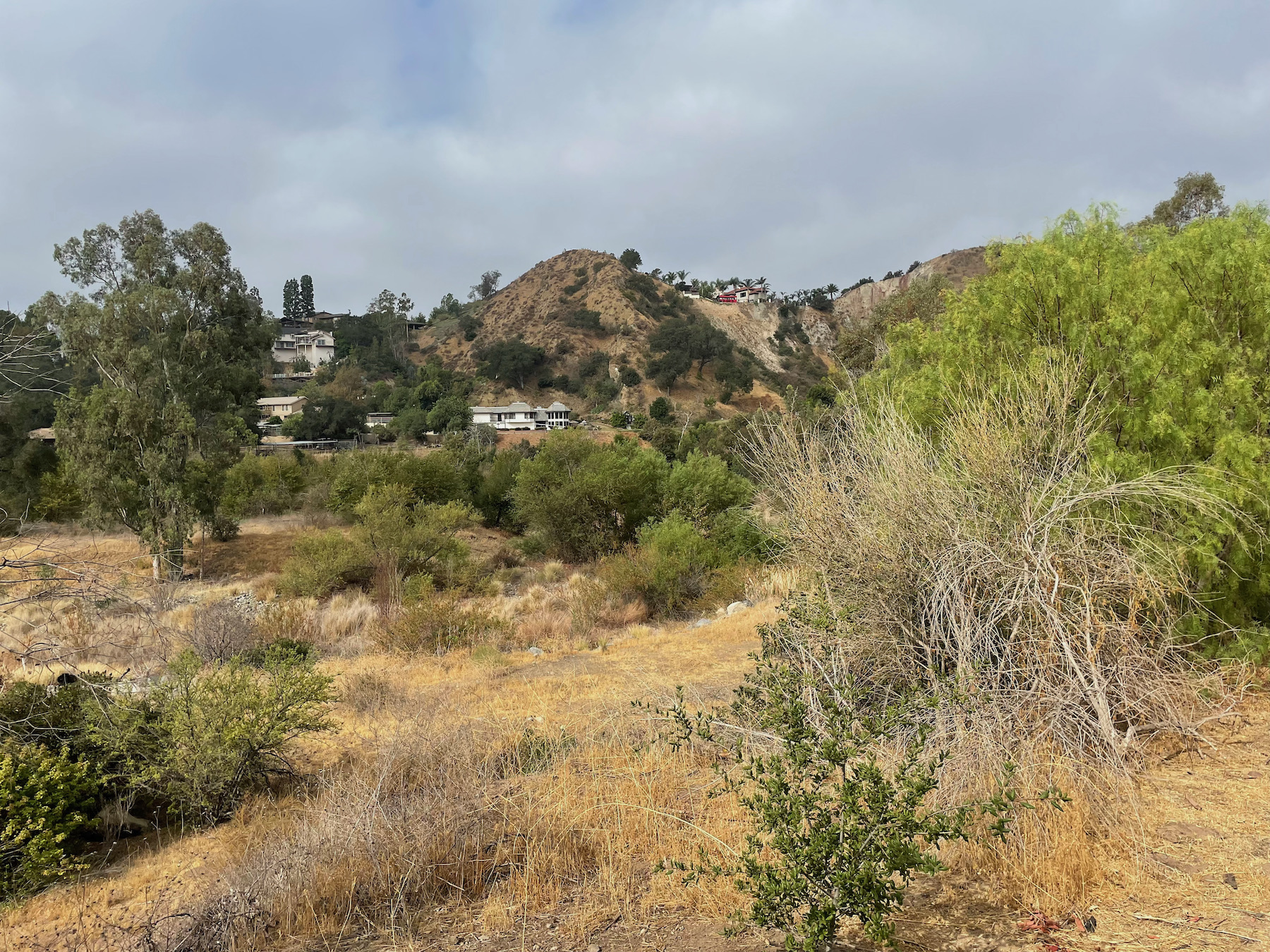 Santiago Mountains: An Oasis Close to Home