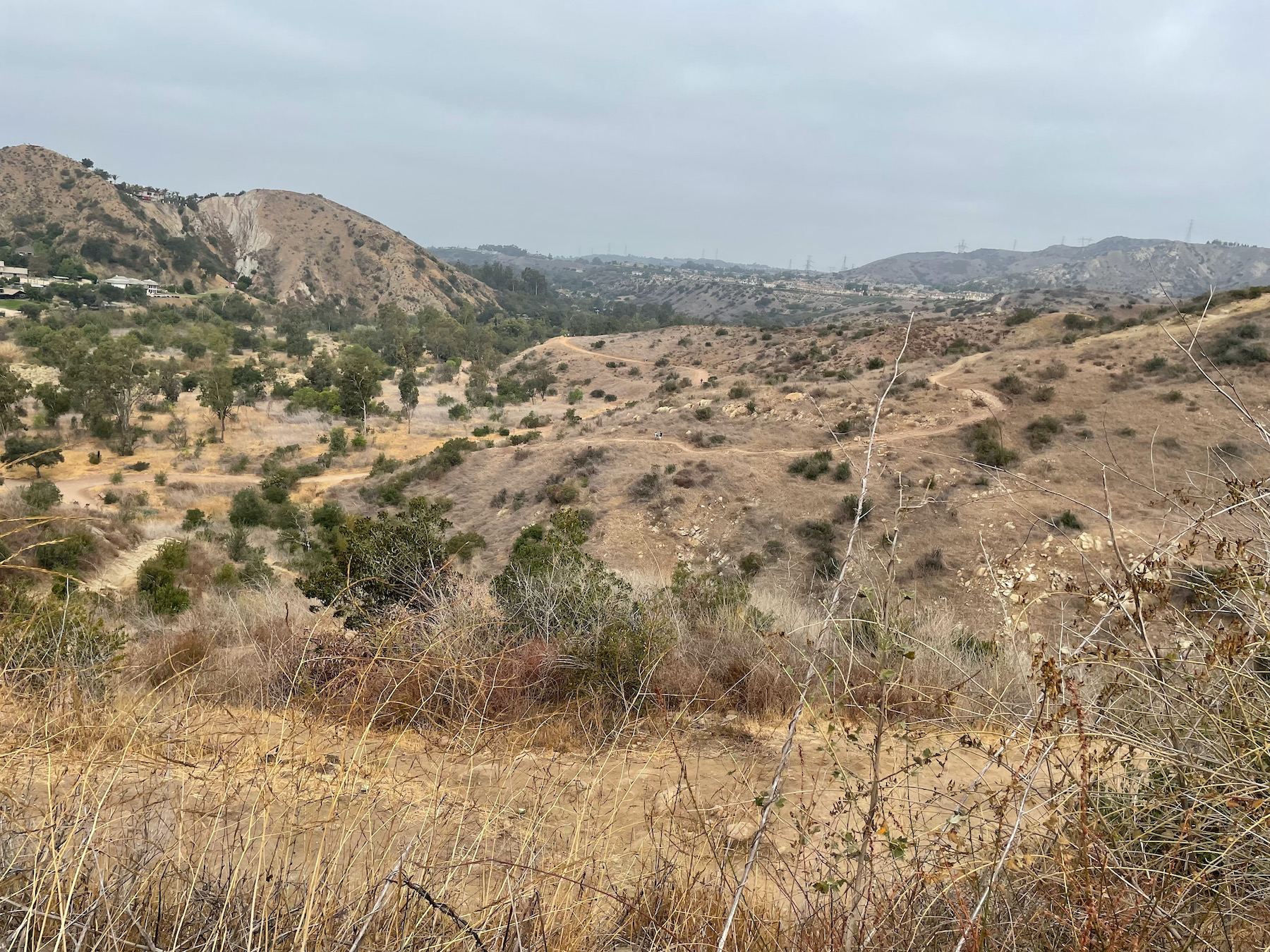 Santiago Mountains: An Oasis Close to Home