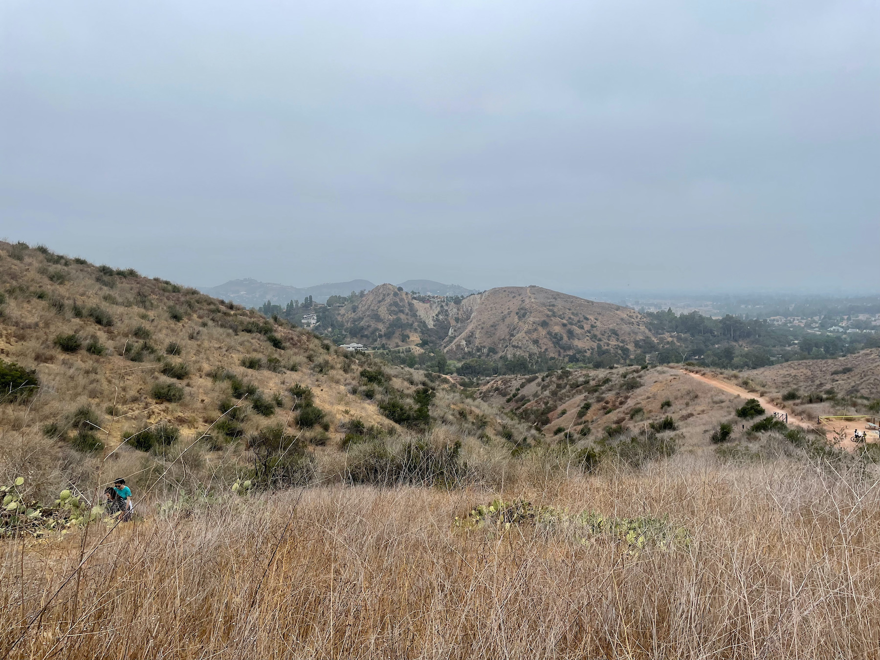 Santiago Mountains: An Oasis Close to Home