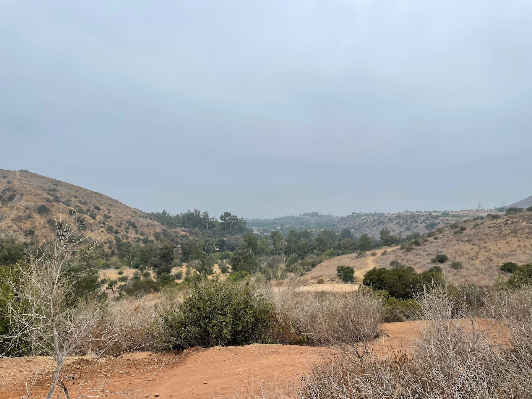 Santiago Mountains: An Oasis Close to Home