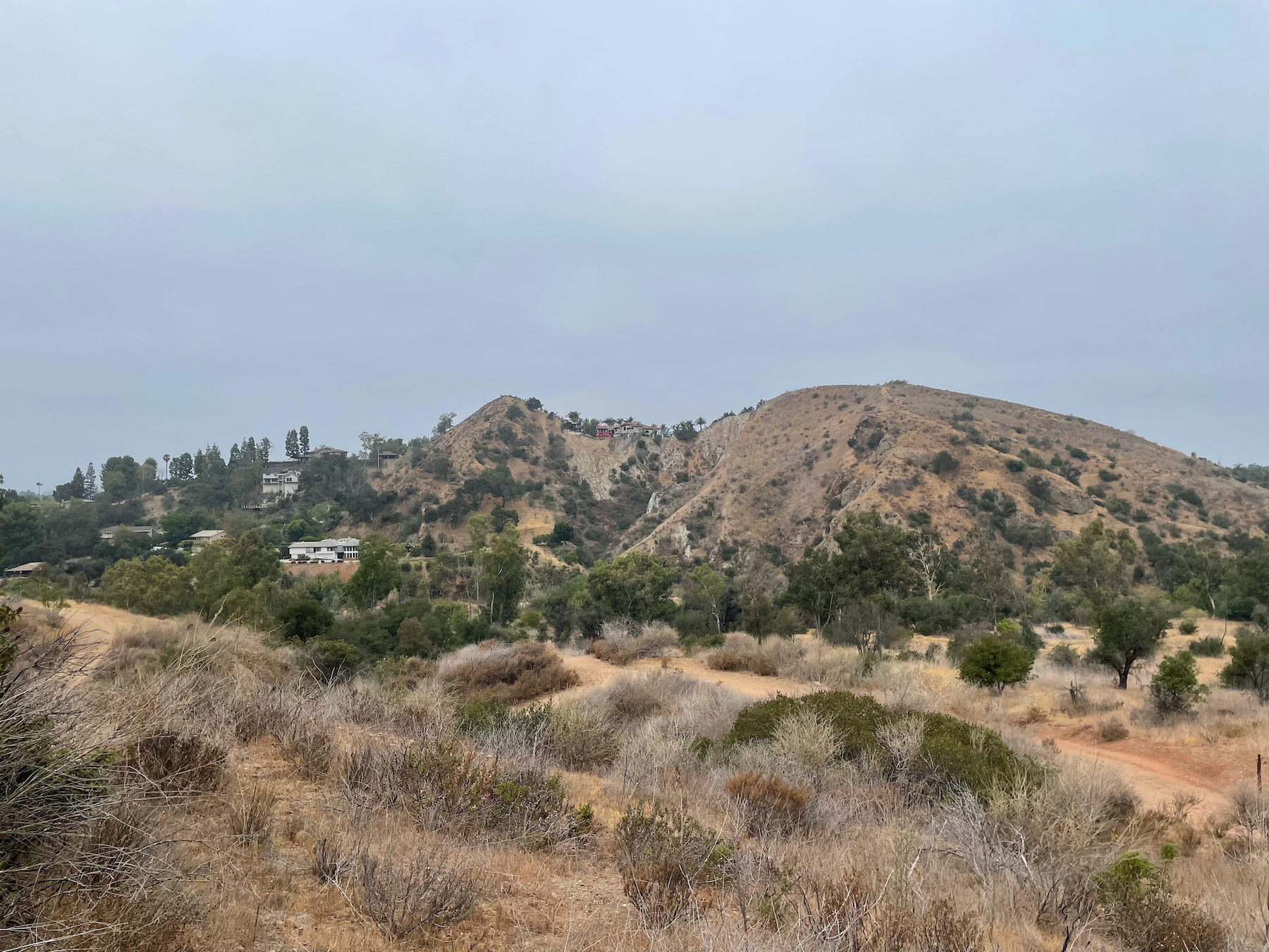 Santiago Mountains: An Oasis Close to Home