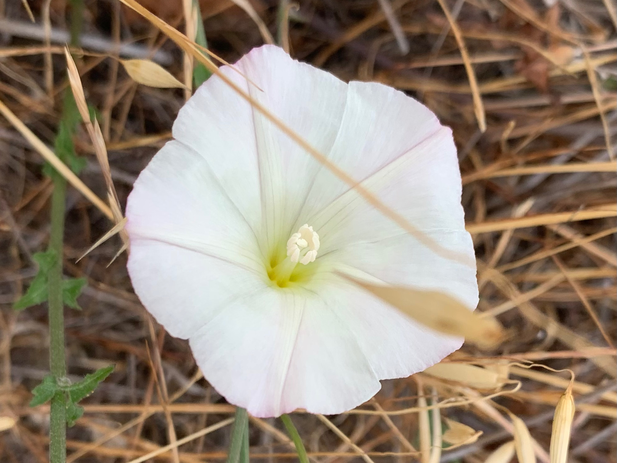 Weekend Hiking Connected with Nature
