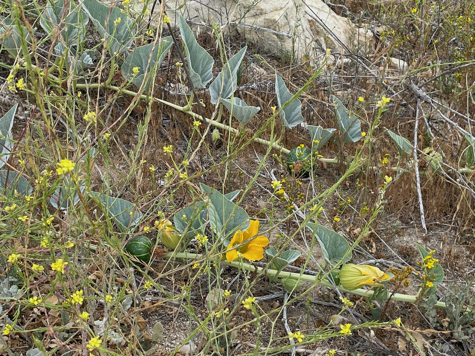 Weekend Hiking Connected with Nature