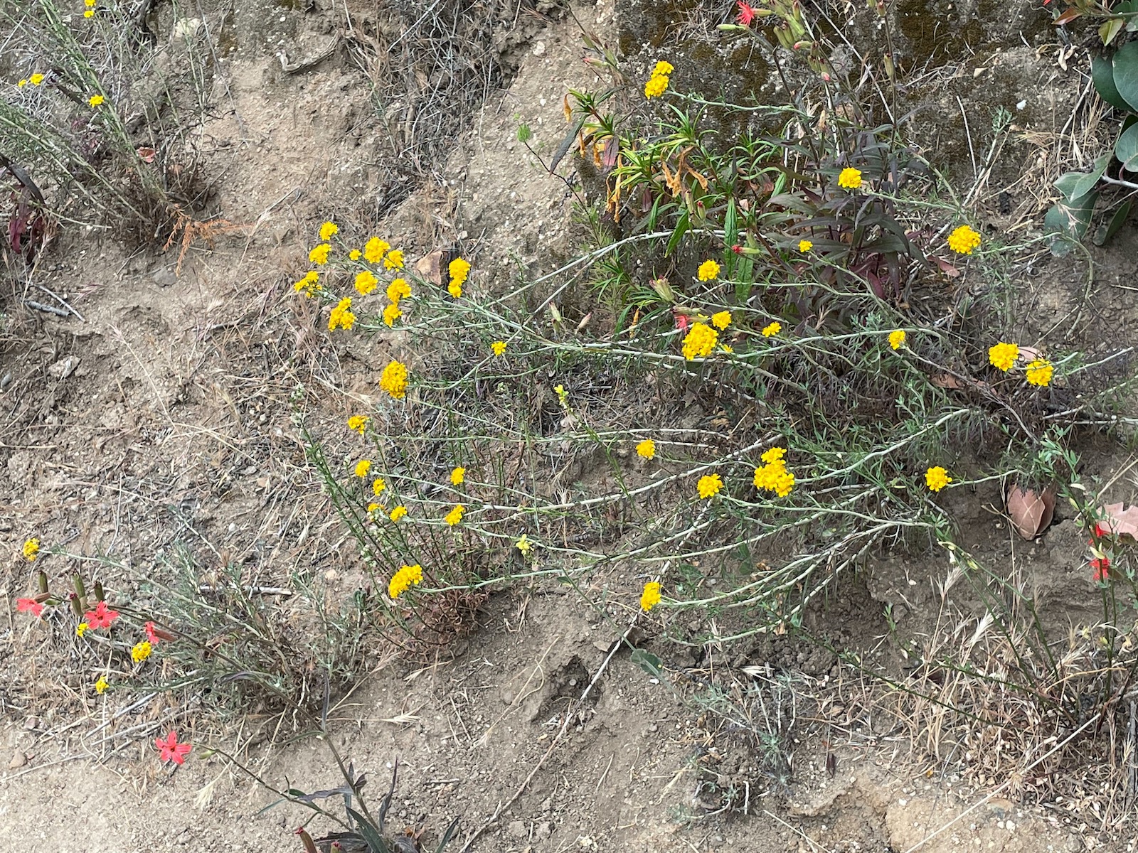 Weekend Hiking Connected with Nature