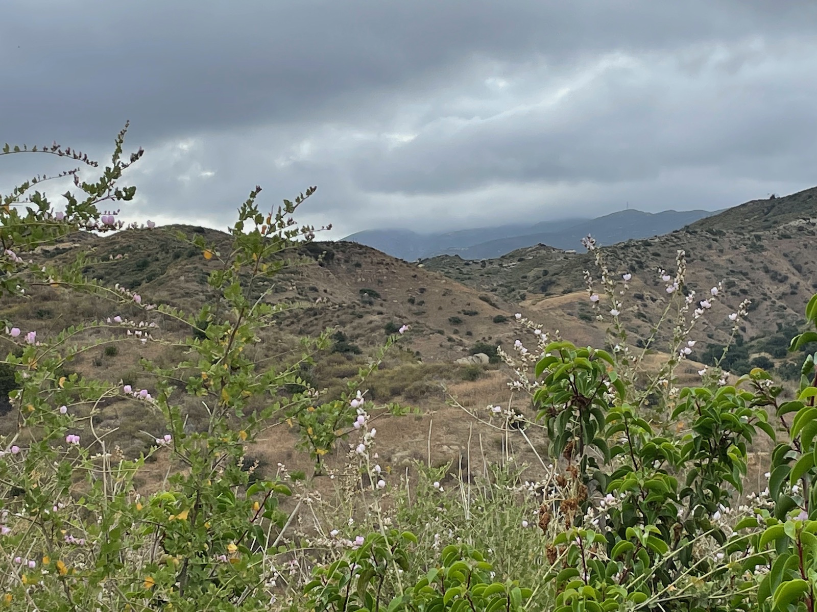 Weekend Hiking Connected with Nature