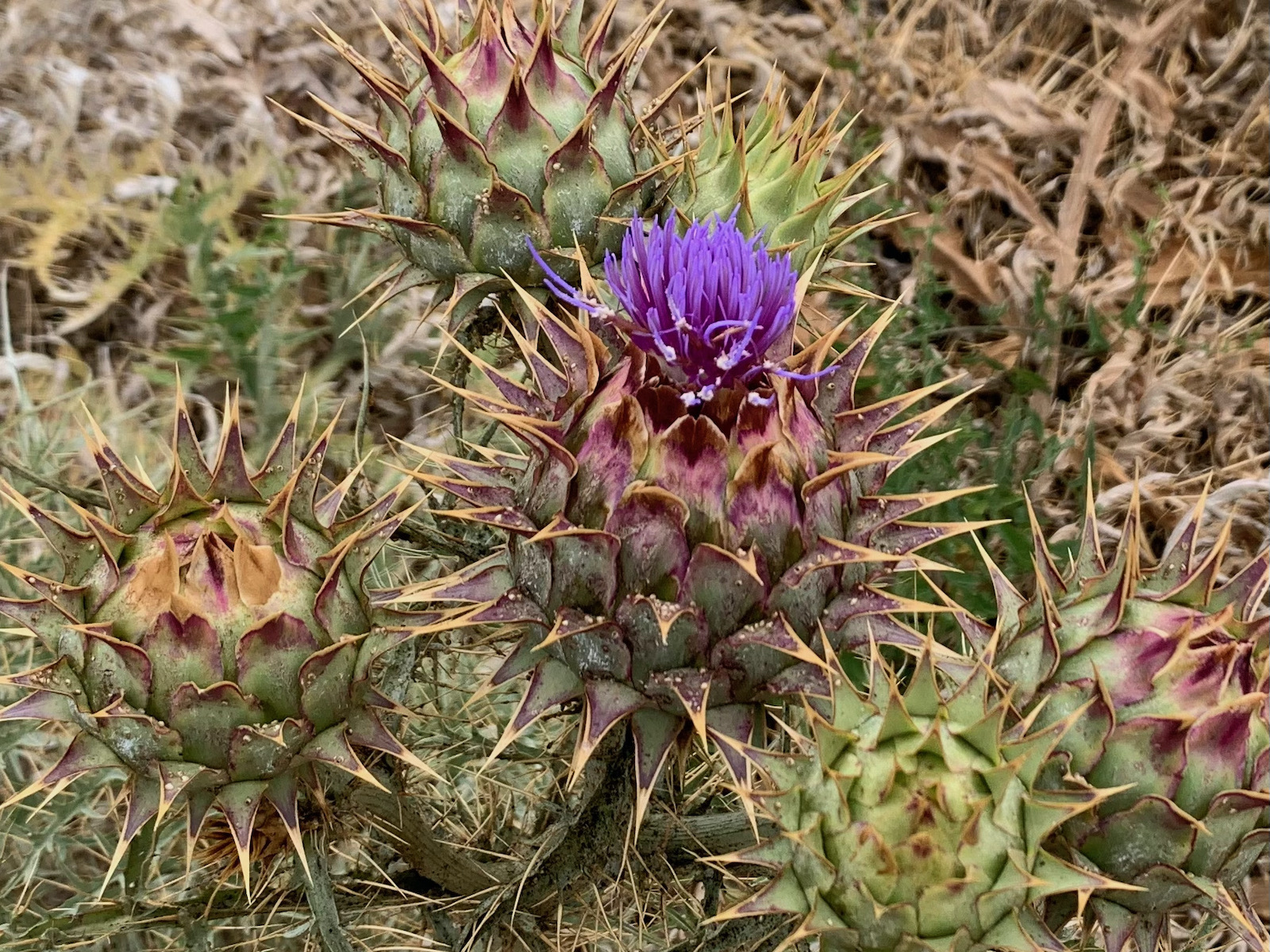 Weekend Hiking Connected with Nature