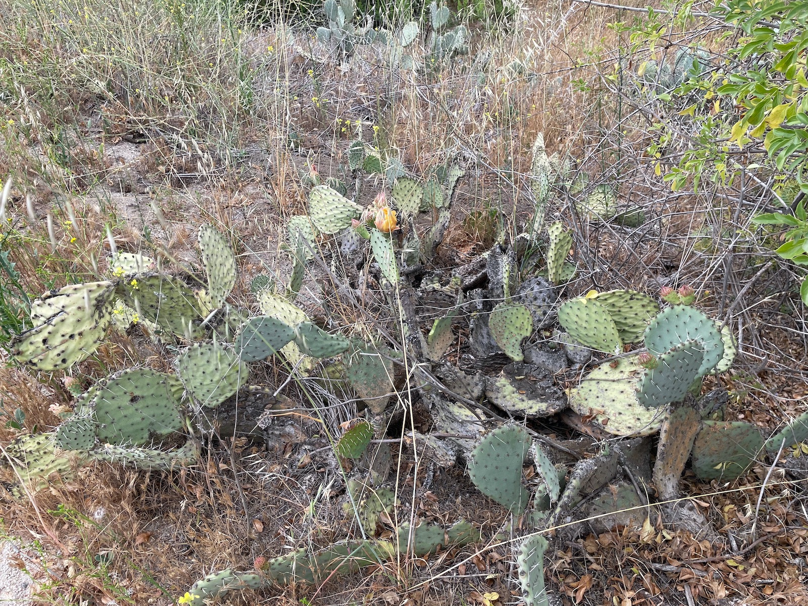 Weekend Hiking Connected with Nature