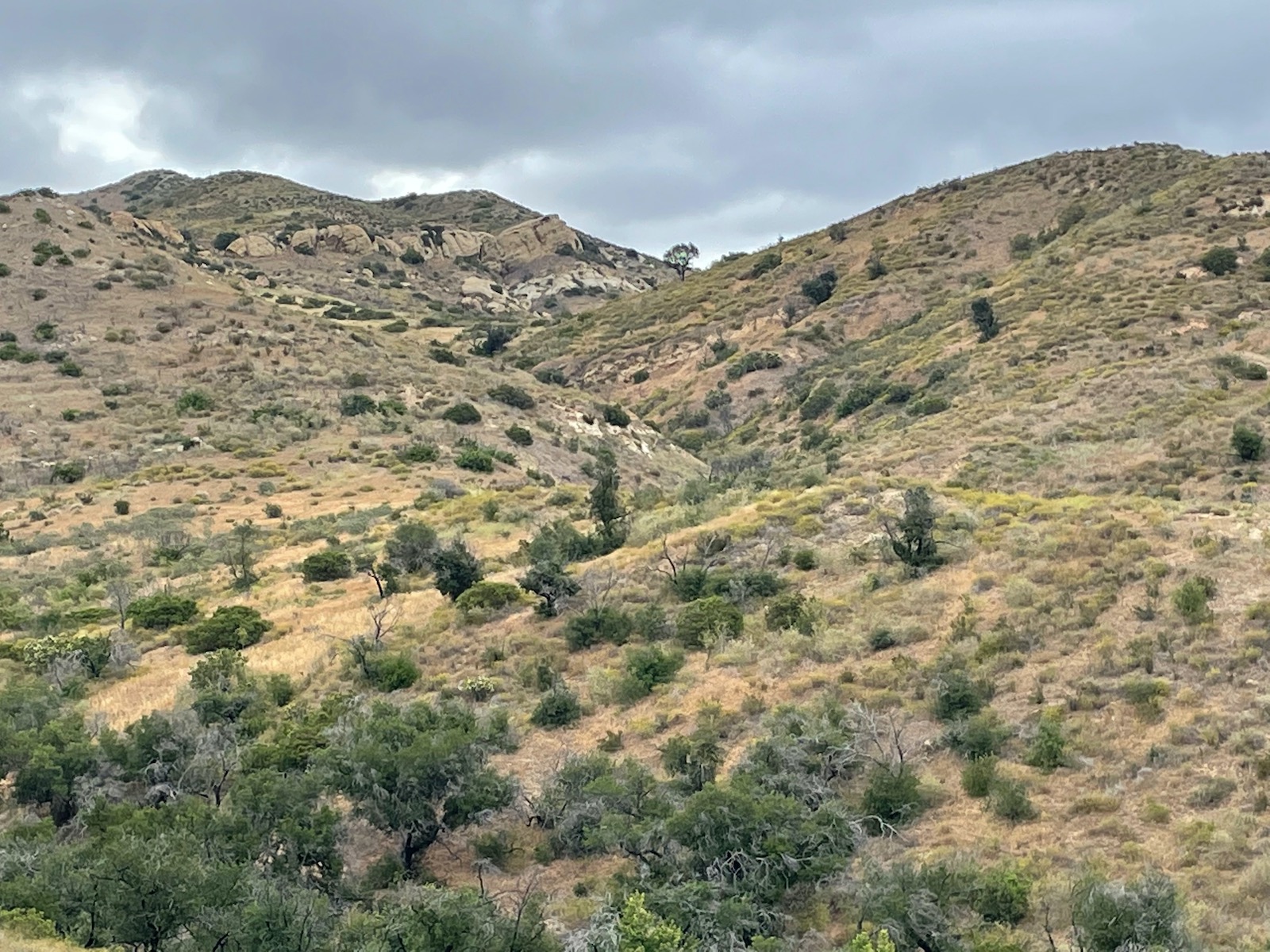 Weekend Hiking Connected with Nature