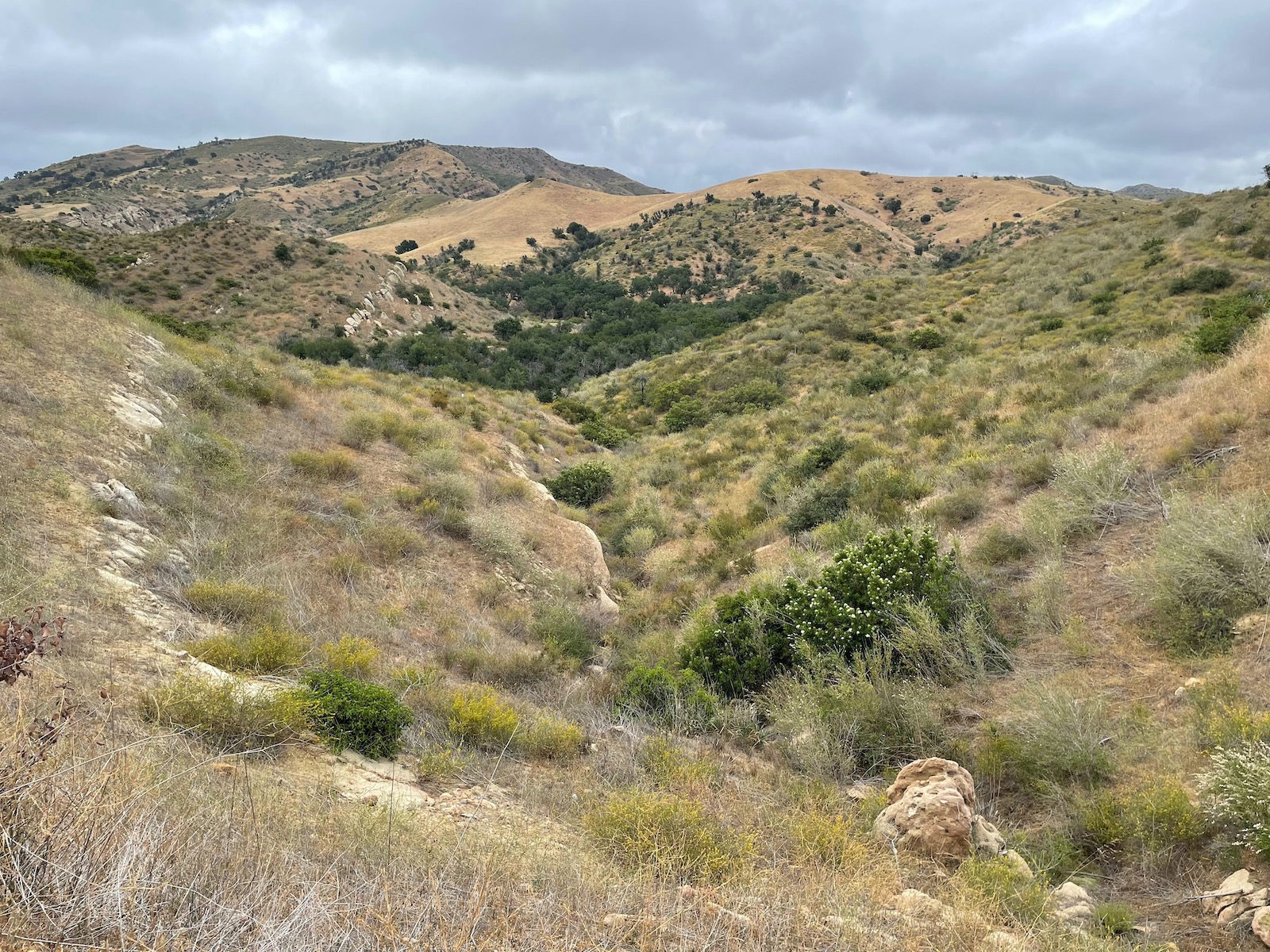 Weekend Hiking Connected with Nature