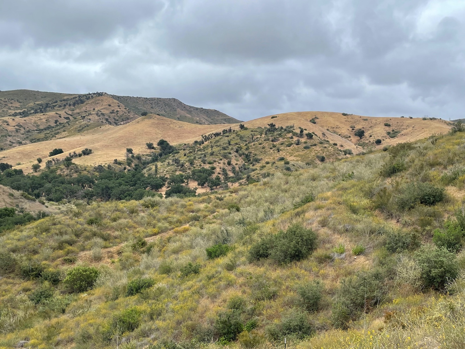 Weekend Hiking Connected with Nature