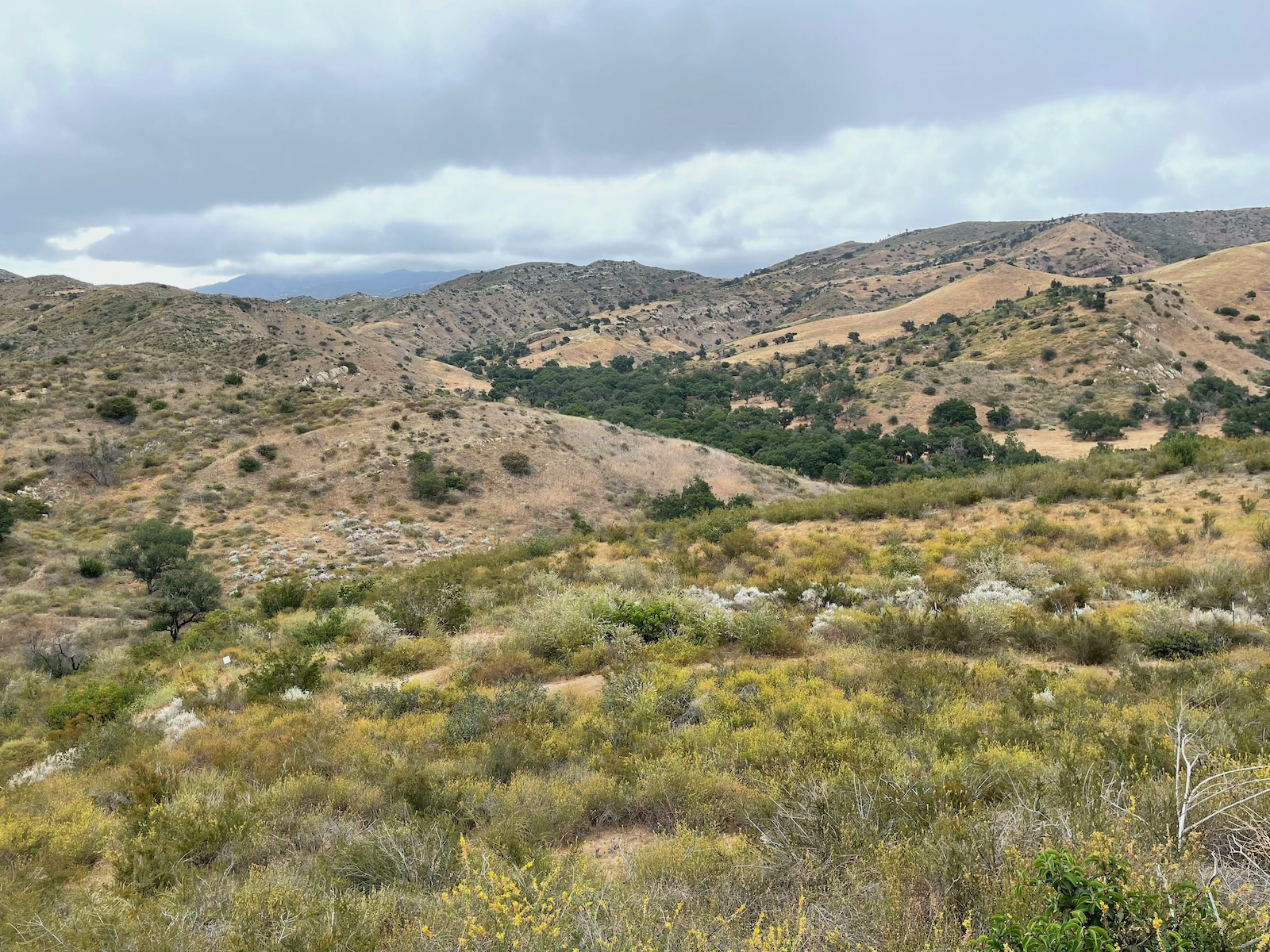 Weekend Hiking Connected with Nature