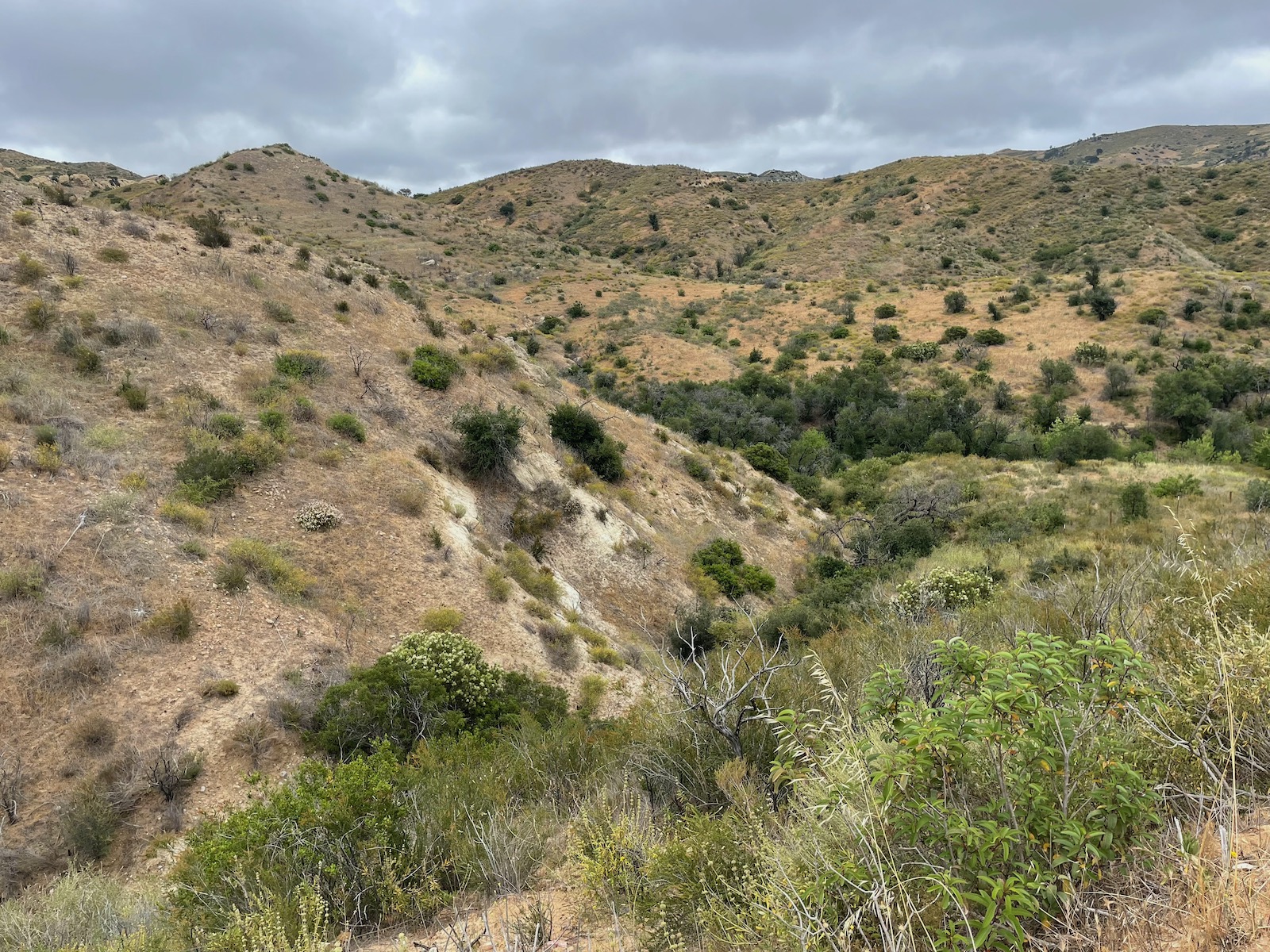 Weekend Hiking Connected with Nature
