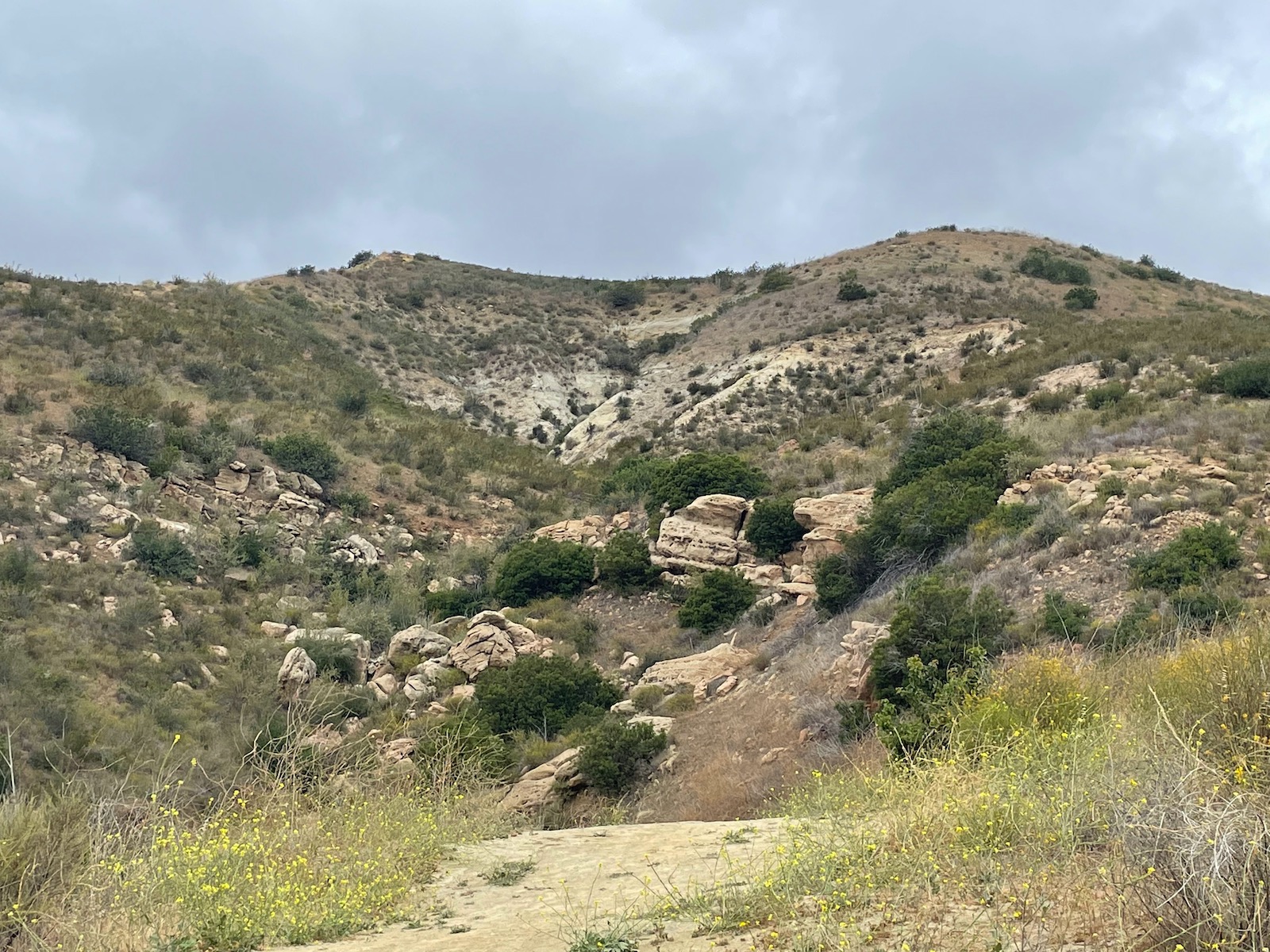 Weekend Hiking Connected with Nature
