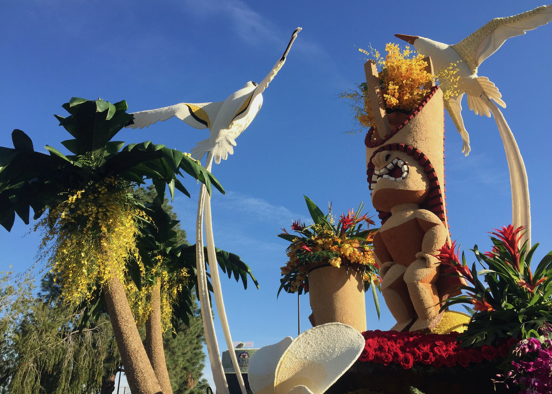 Art to an entirely different level of storytelling - a picture is worth thousand words - this float made with natural plant based component is beyond words
