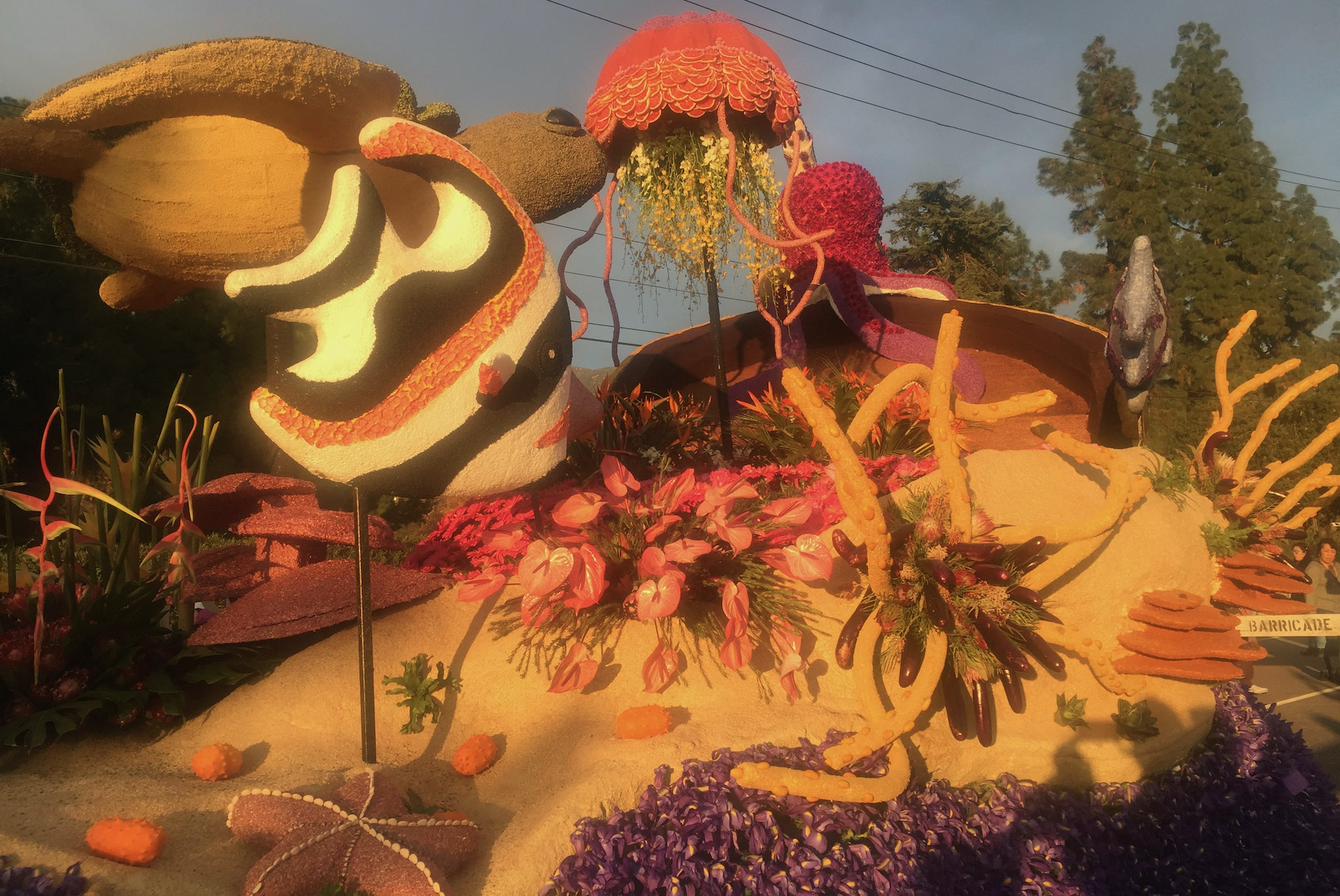 Use of plants, flowers, leaves and seeds with vibrant natural colors developed a theme of environmental sustainability with this float