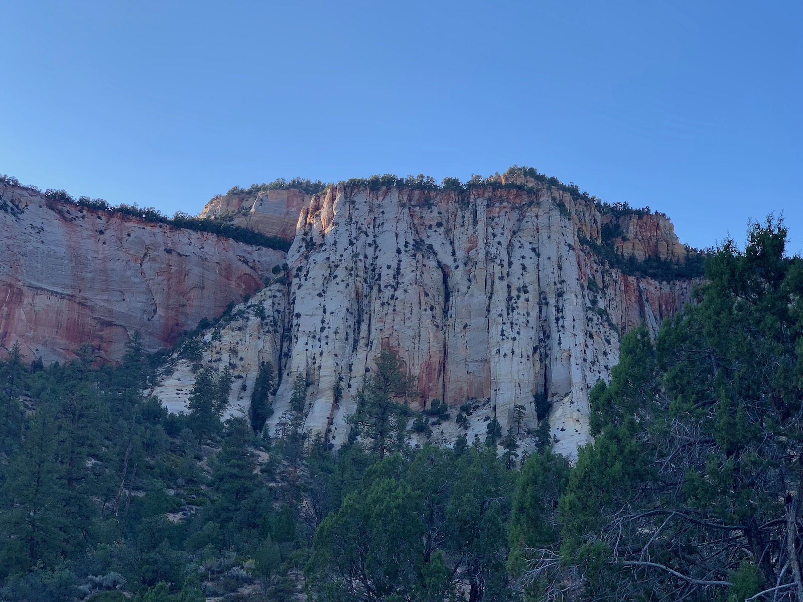 Our trip to Zion National Park