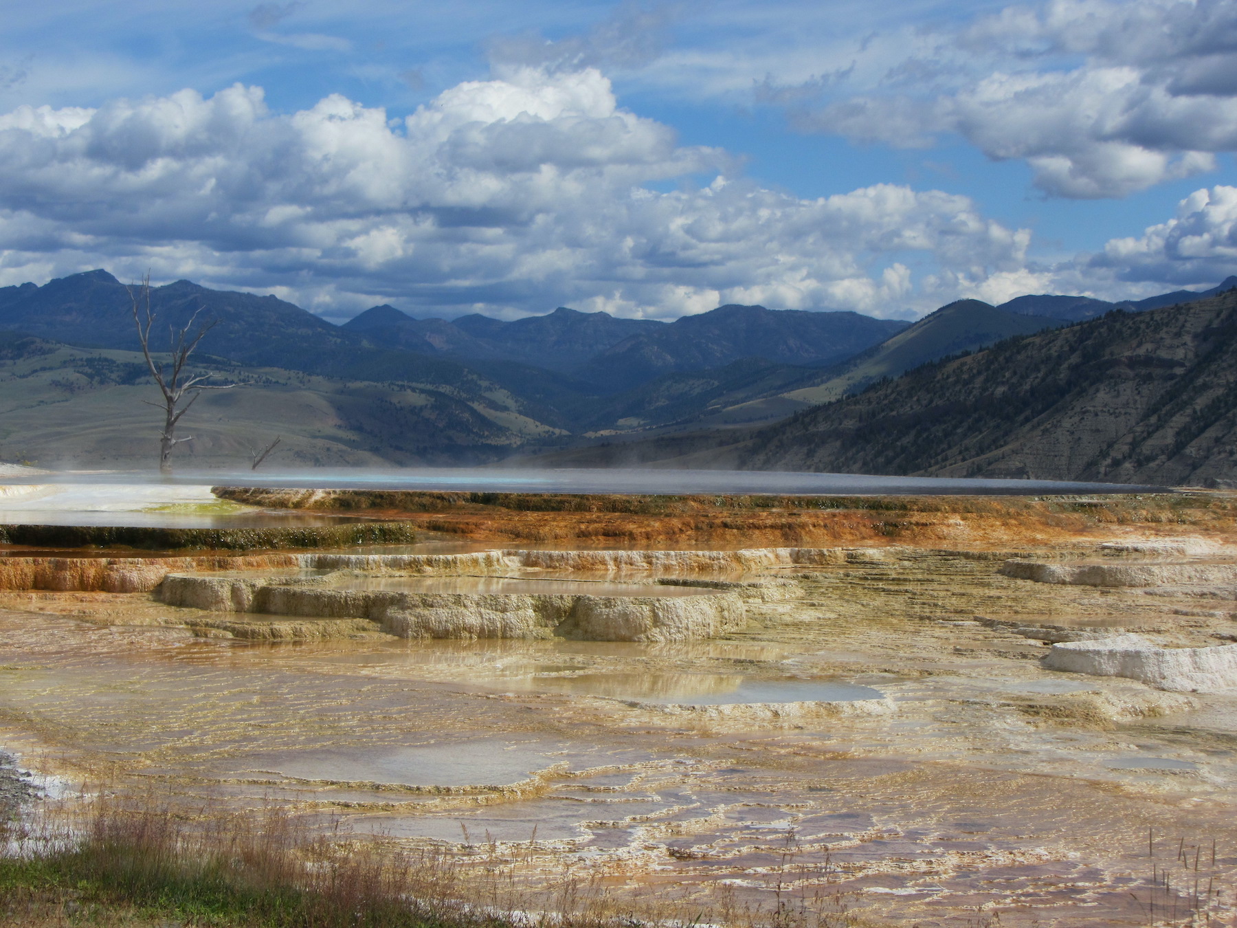 Mammoth Hot Springs at Yellowstone National Park