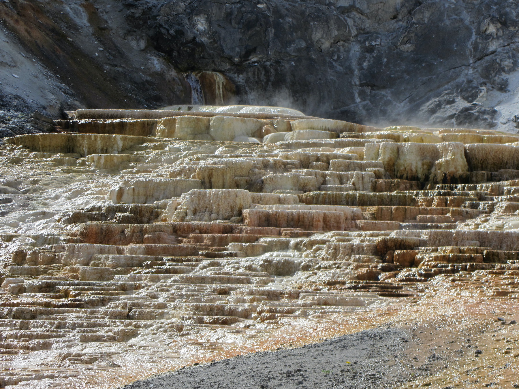 Mammoth Hot Springs at Yellowstone National Park