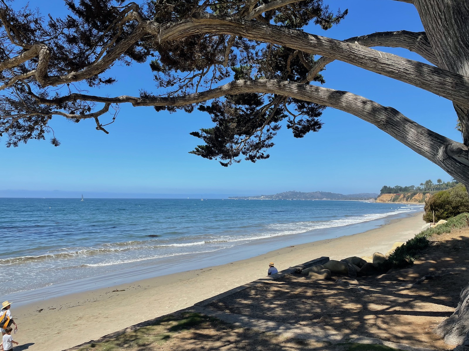 Calming Deep Blue on a Crisp California Day