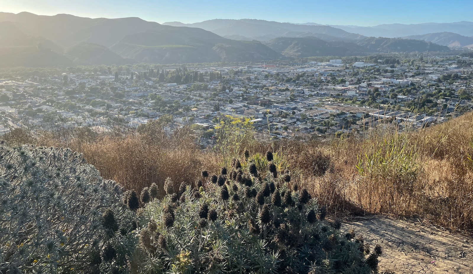 Grant Park at Ventura - View on the backside